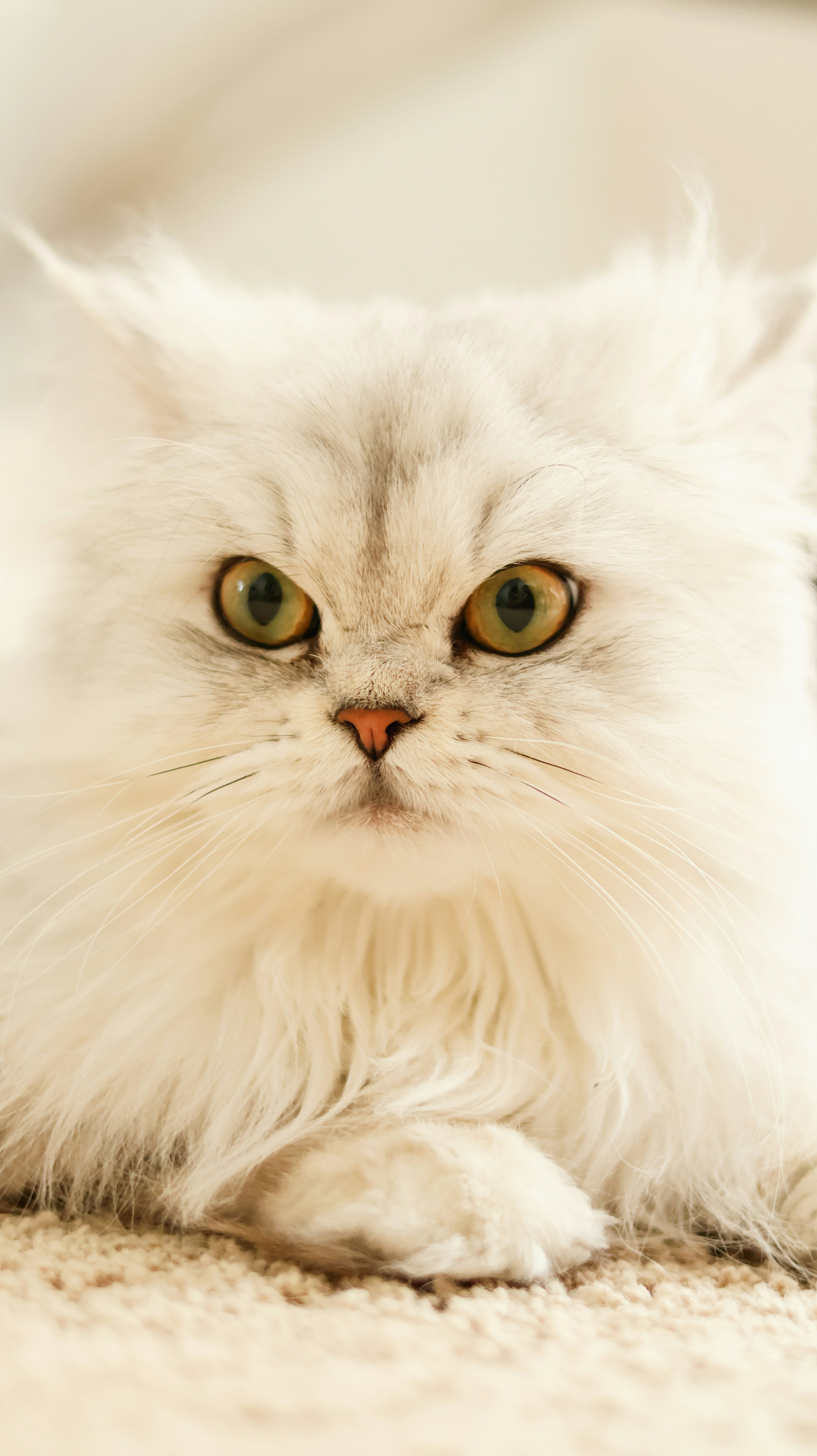 Photo by naturelensephotographer