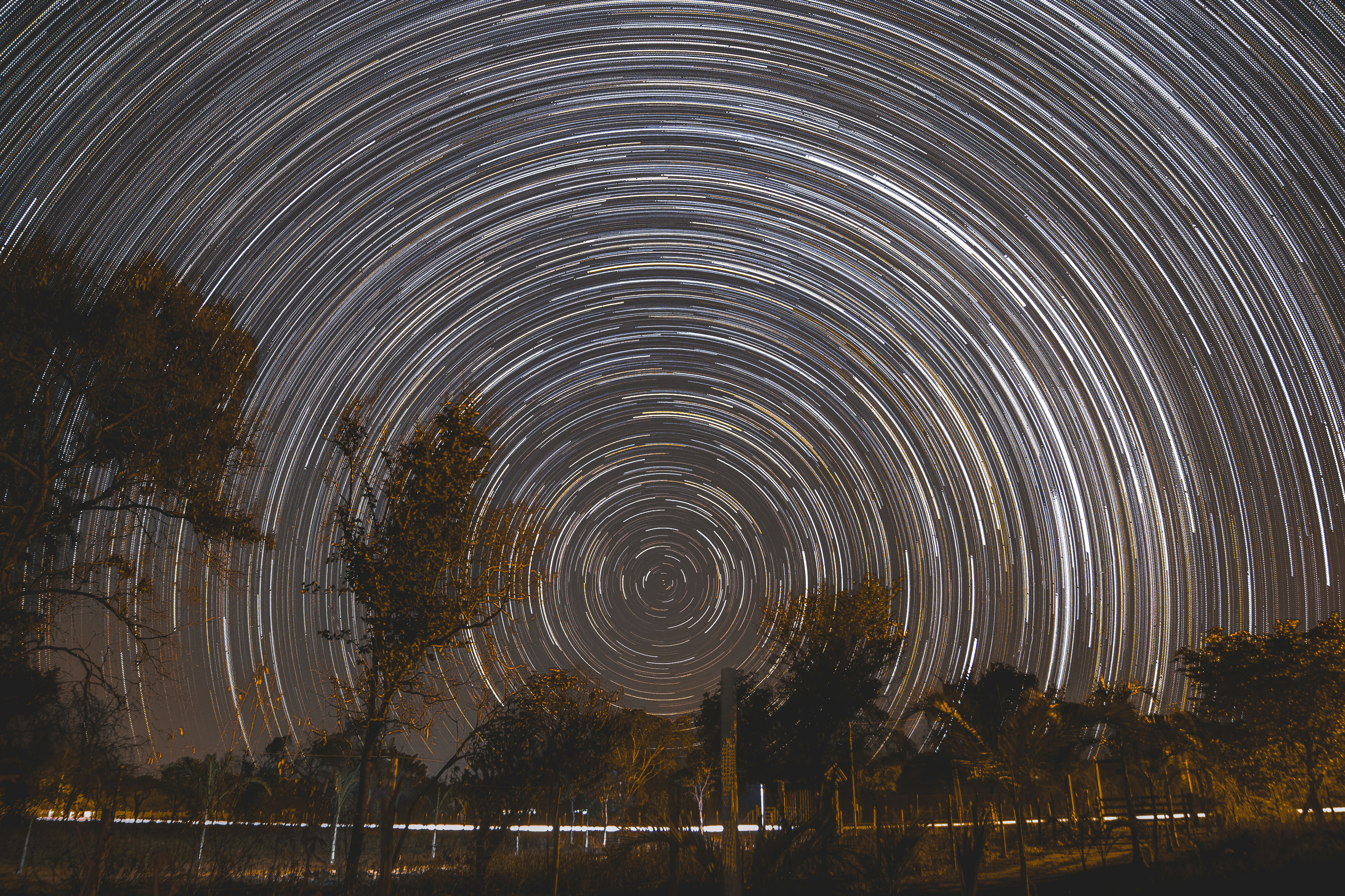 Welcome to My Blog: A Journey Through Life, Code, and Everything Else!