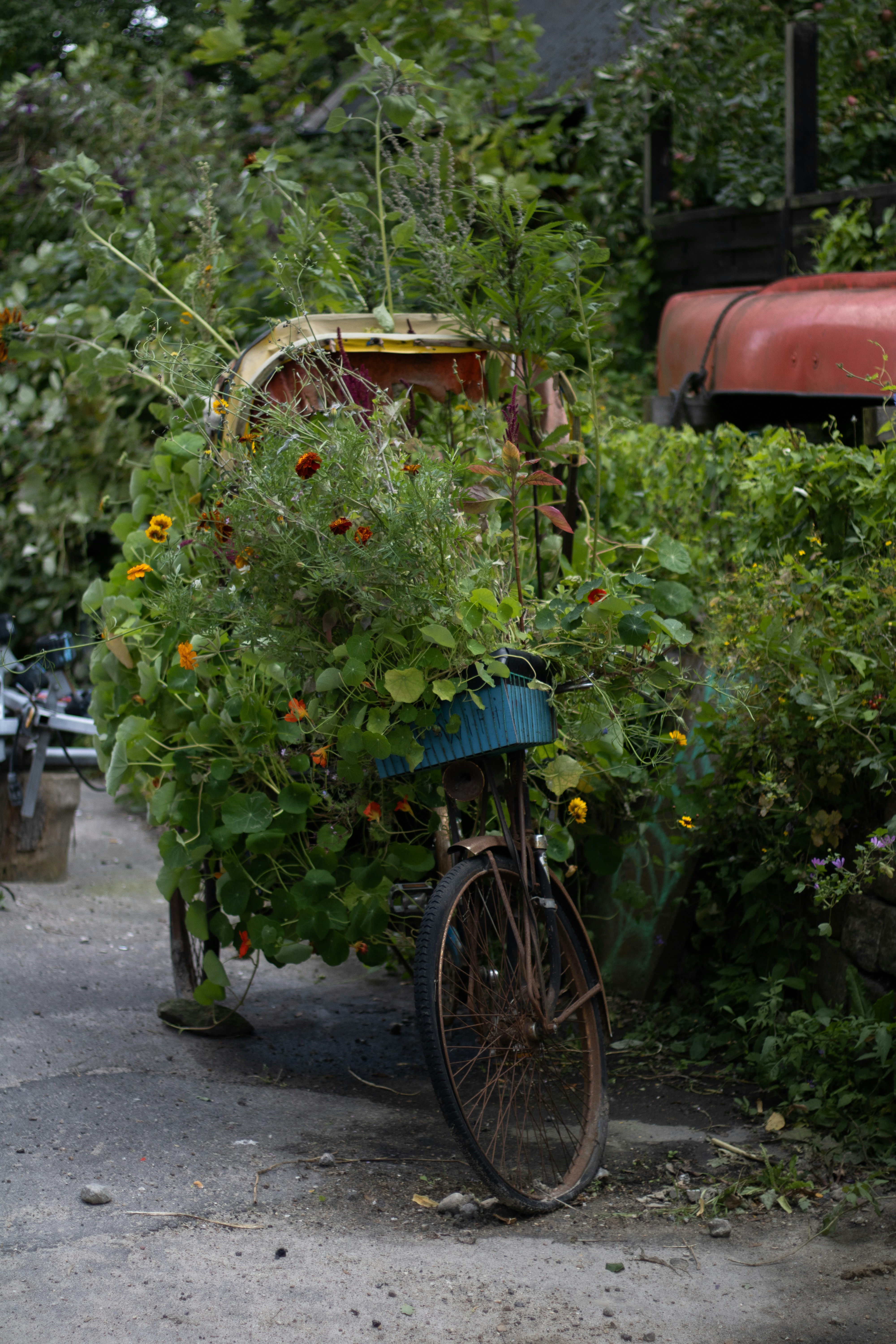 Photo by stills_byliz