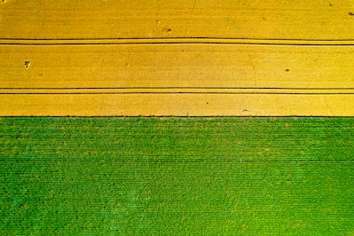 A close up of a green and yellow wall