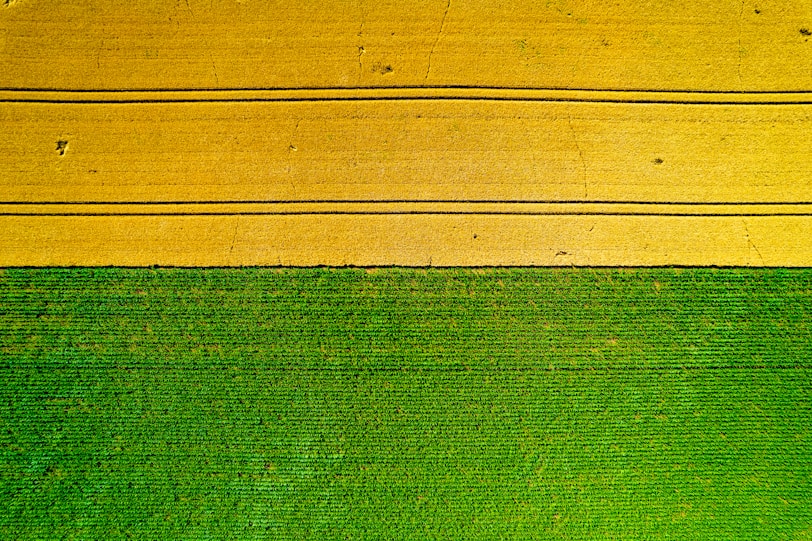 A close up of a green and yellow wall