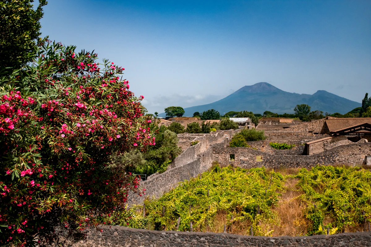 Campania
