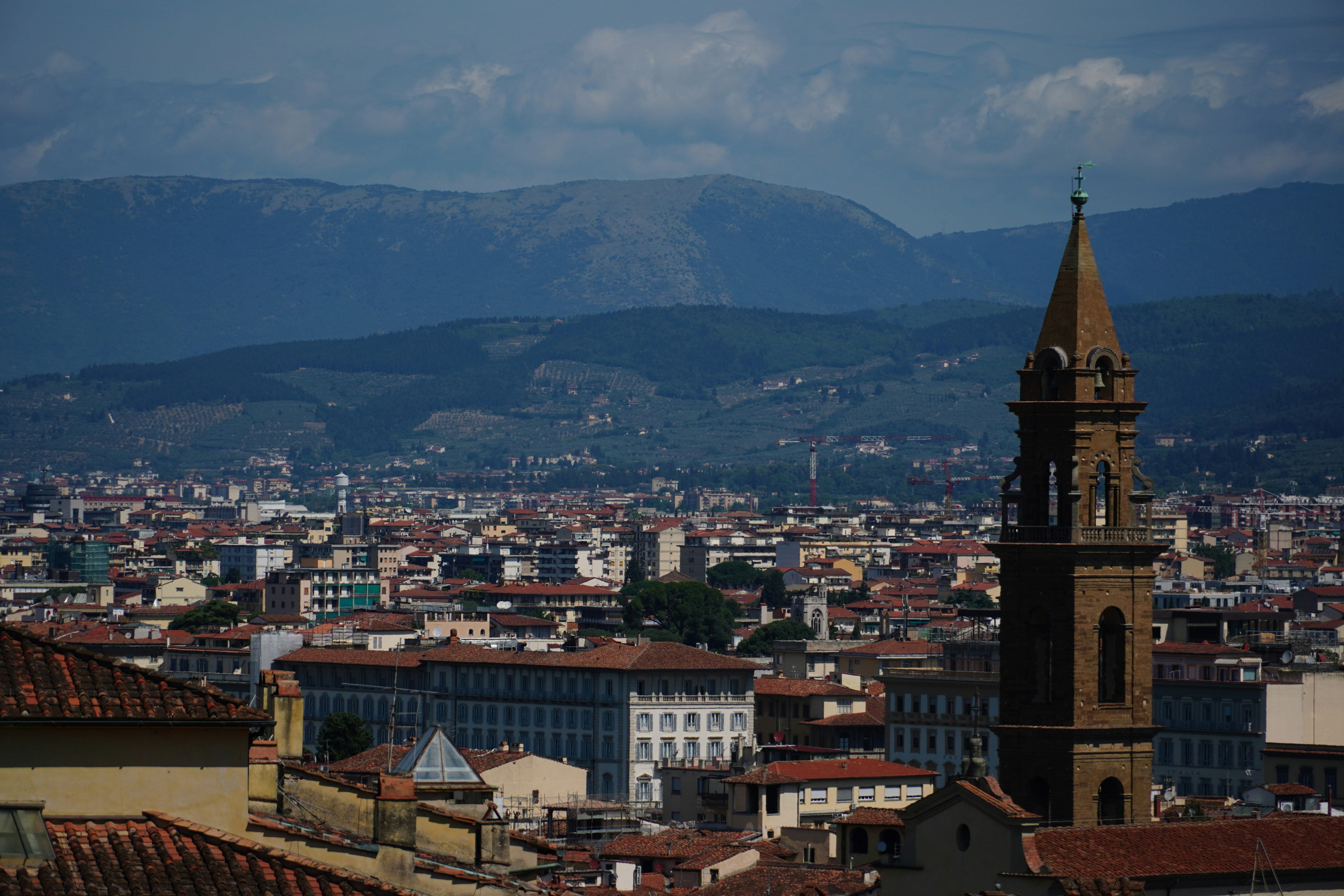 Photo by greenliustudio