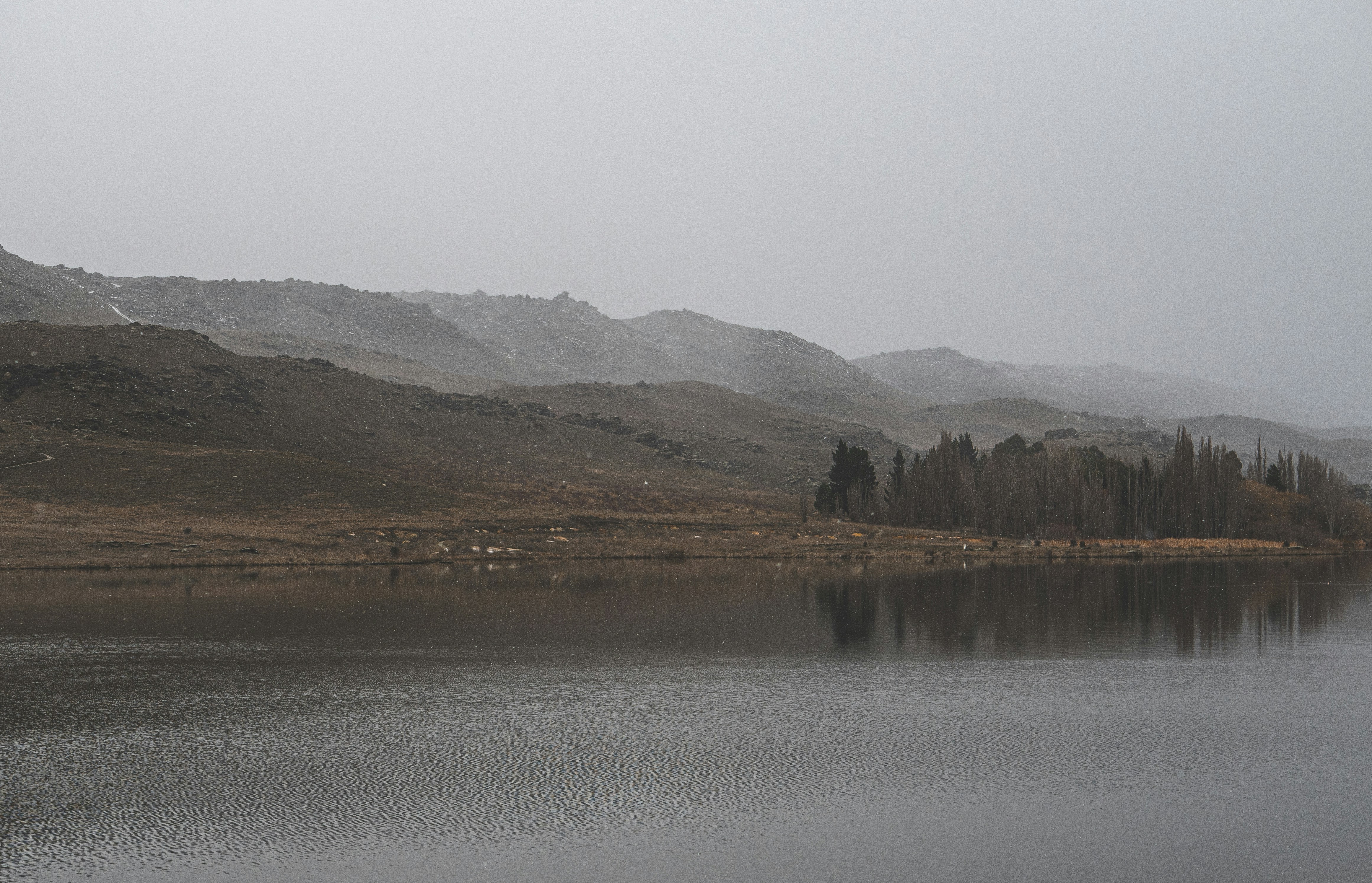 Photo by tototosia