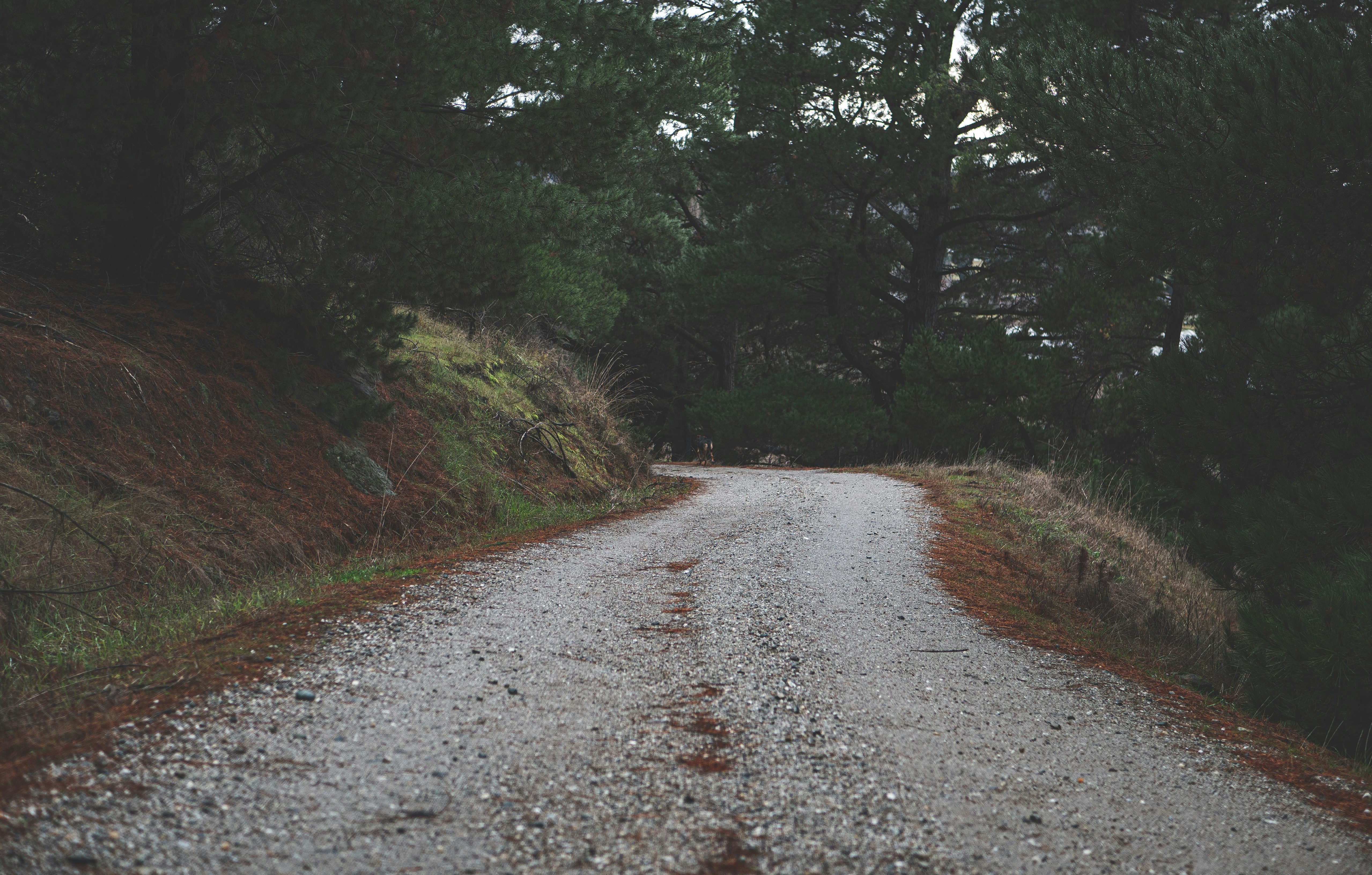 Photo by tototosia