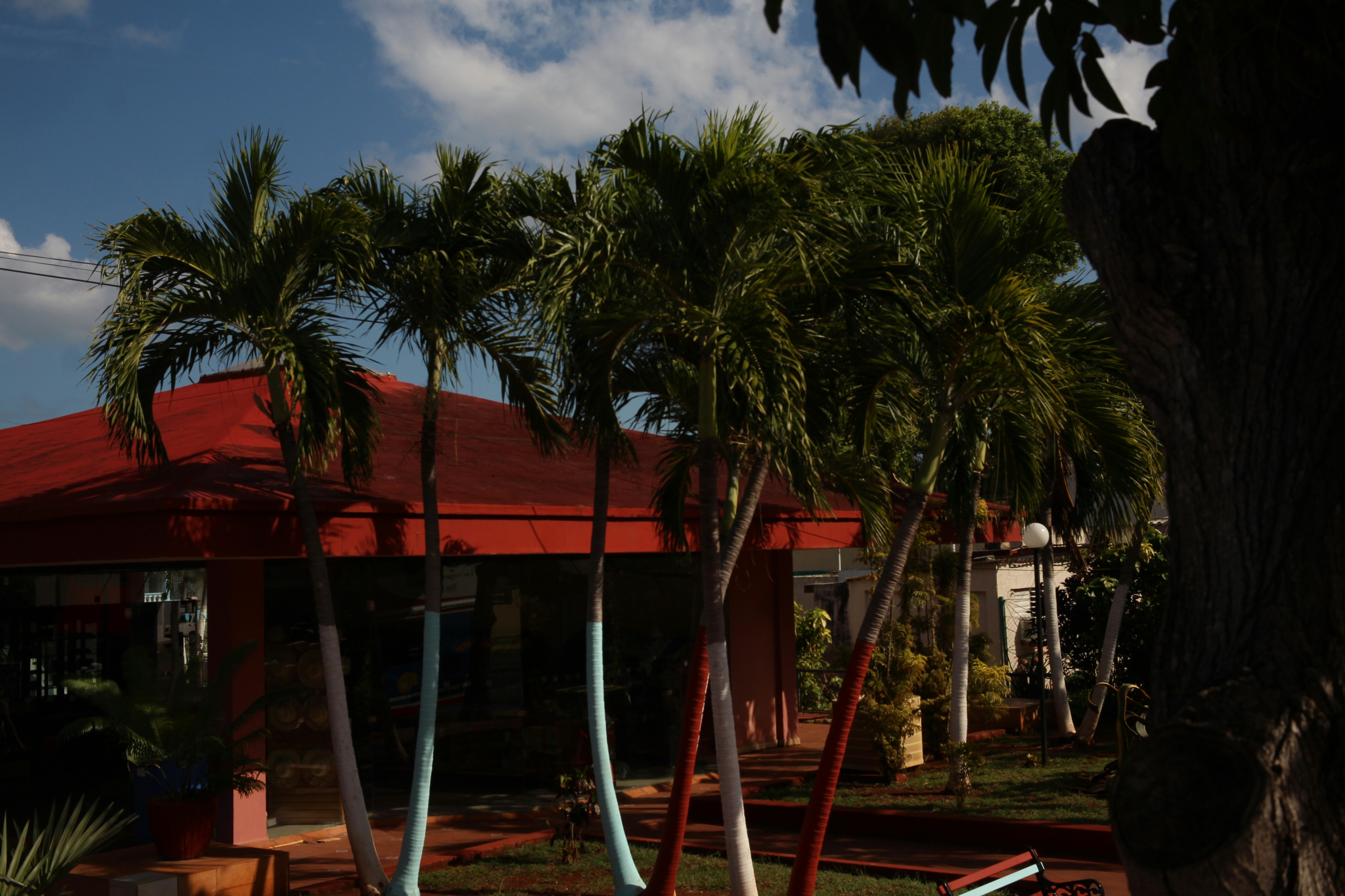 A house with a red roof and palm trees