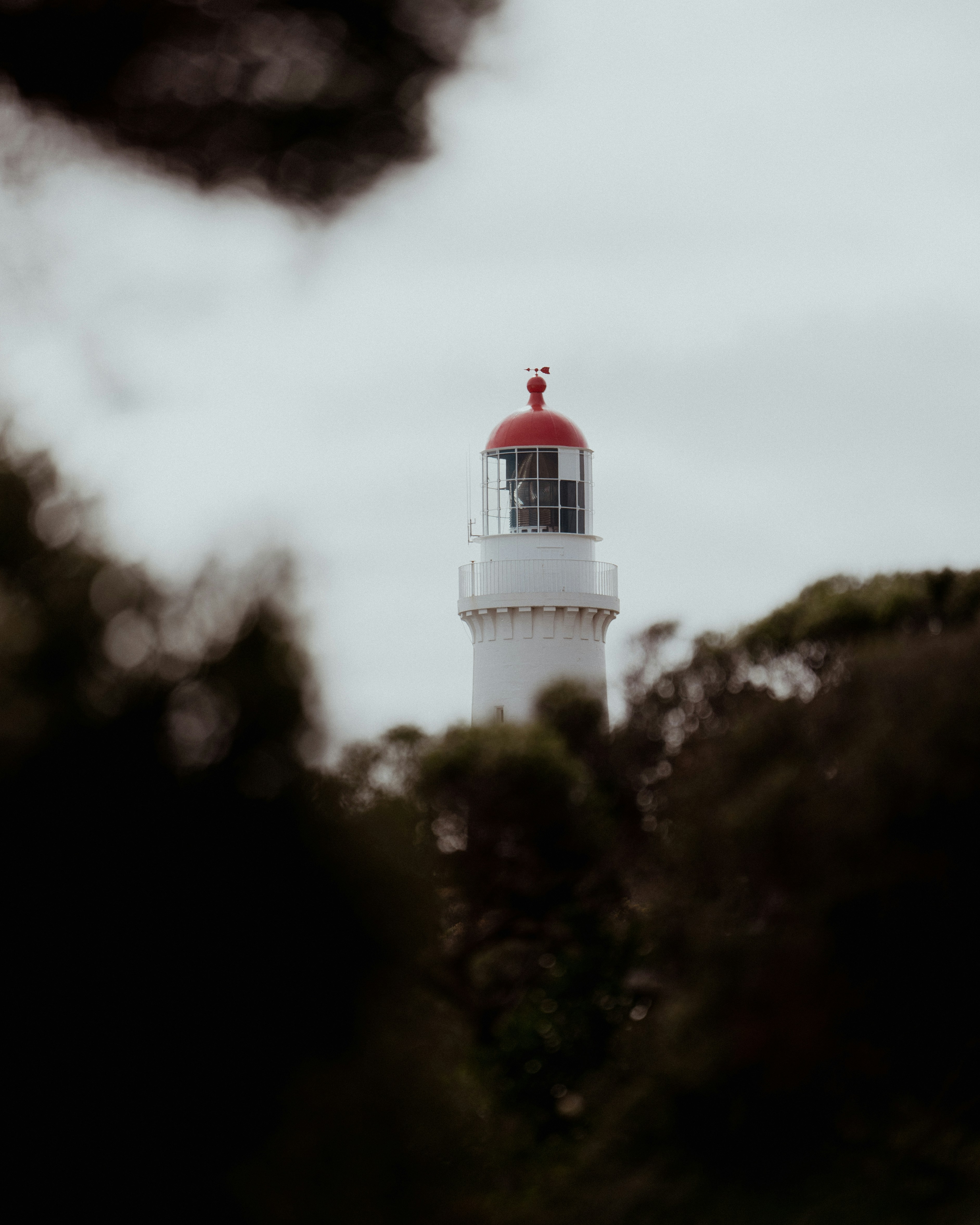 Photo by alihancaglar