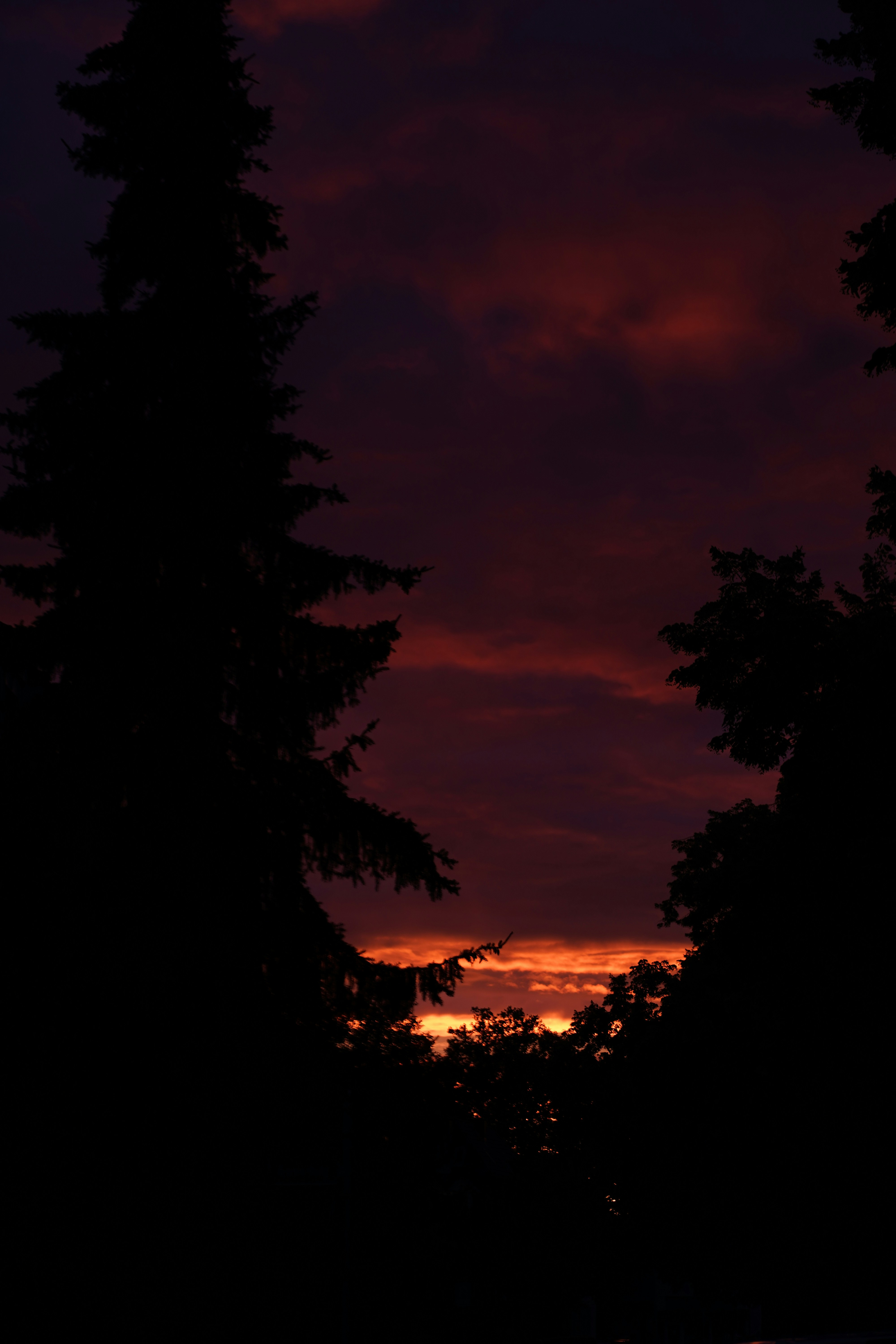 Un atardecer visto a través de unos árboles a lo lejos foto – Imagen de  Puesta del sol gratuita en Unsplash, image size:3000x4500