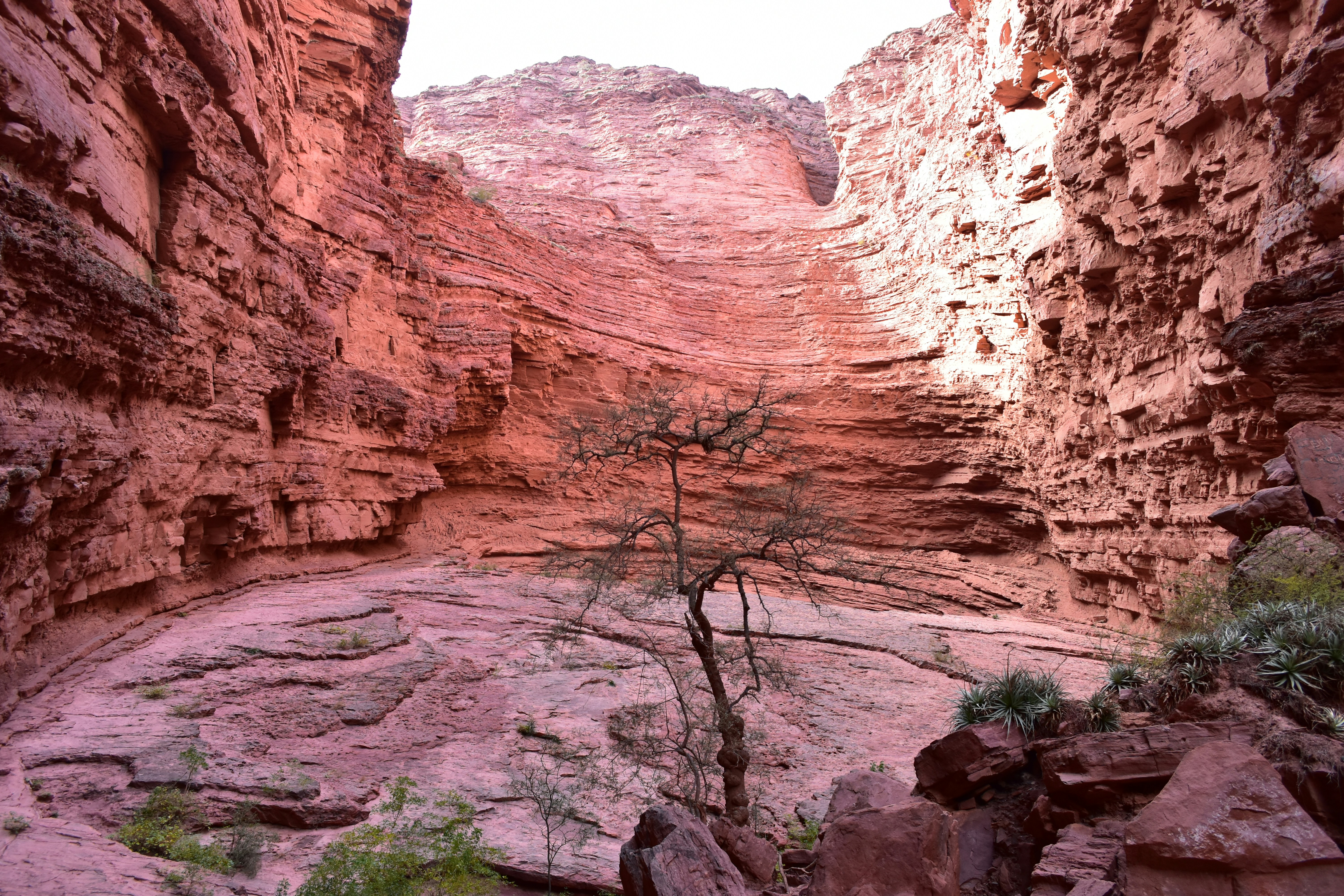 Powell's Lost Canyon Journey Becomes Impossible to Retrace Today