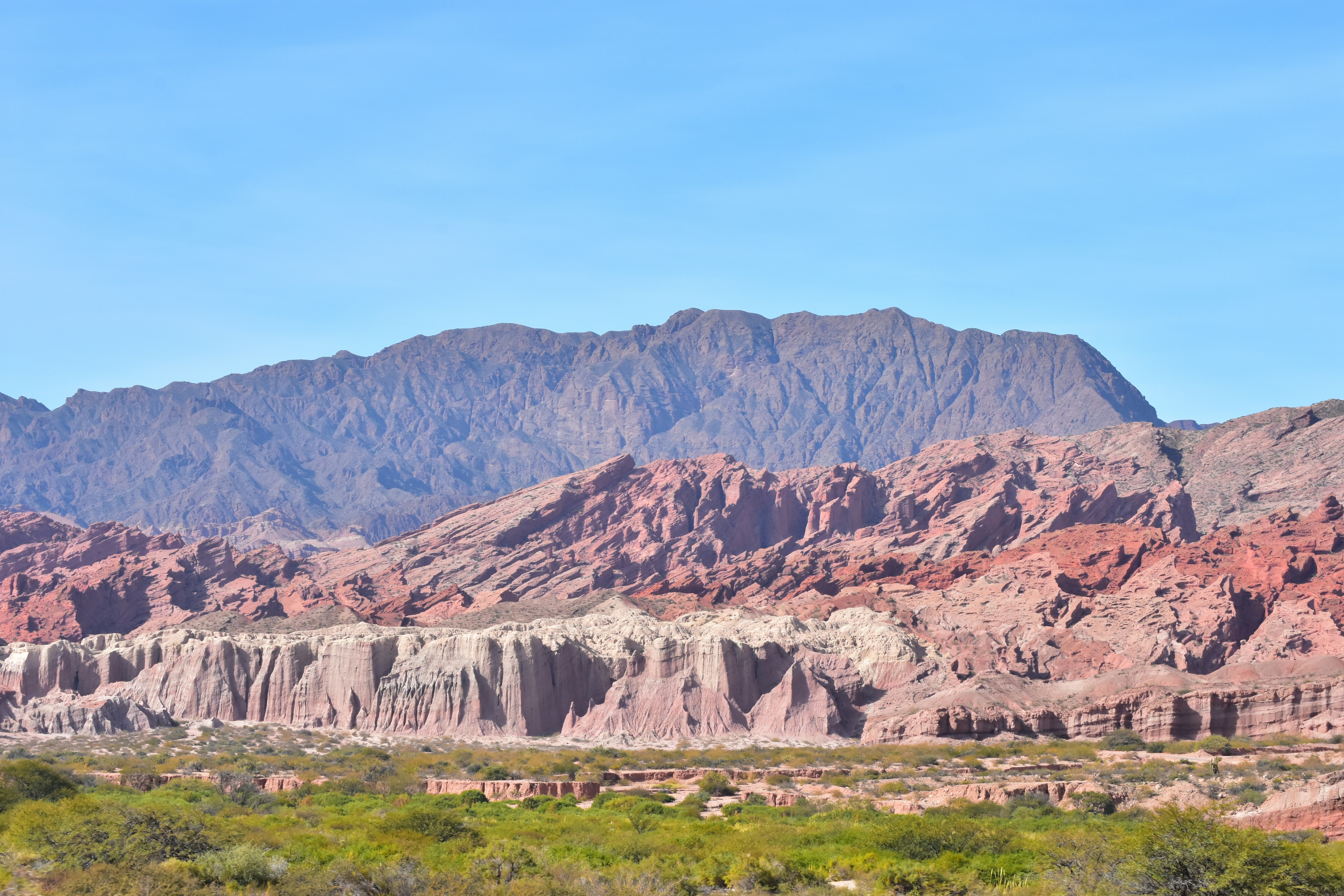 A mountain range in the distance with trees in the foreground