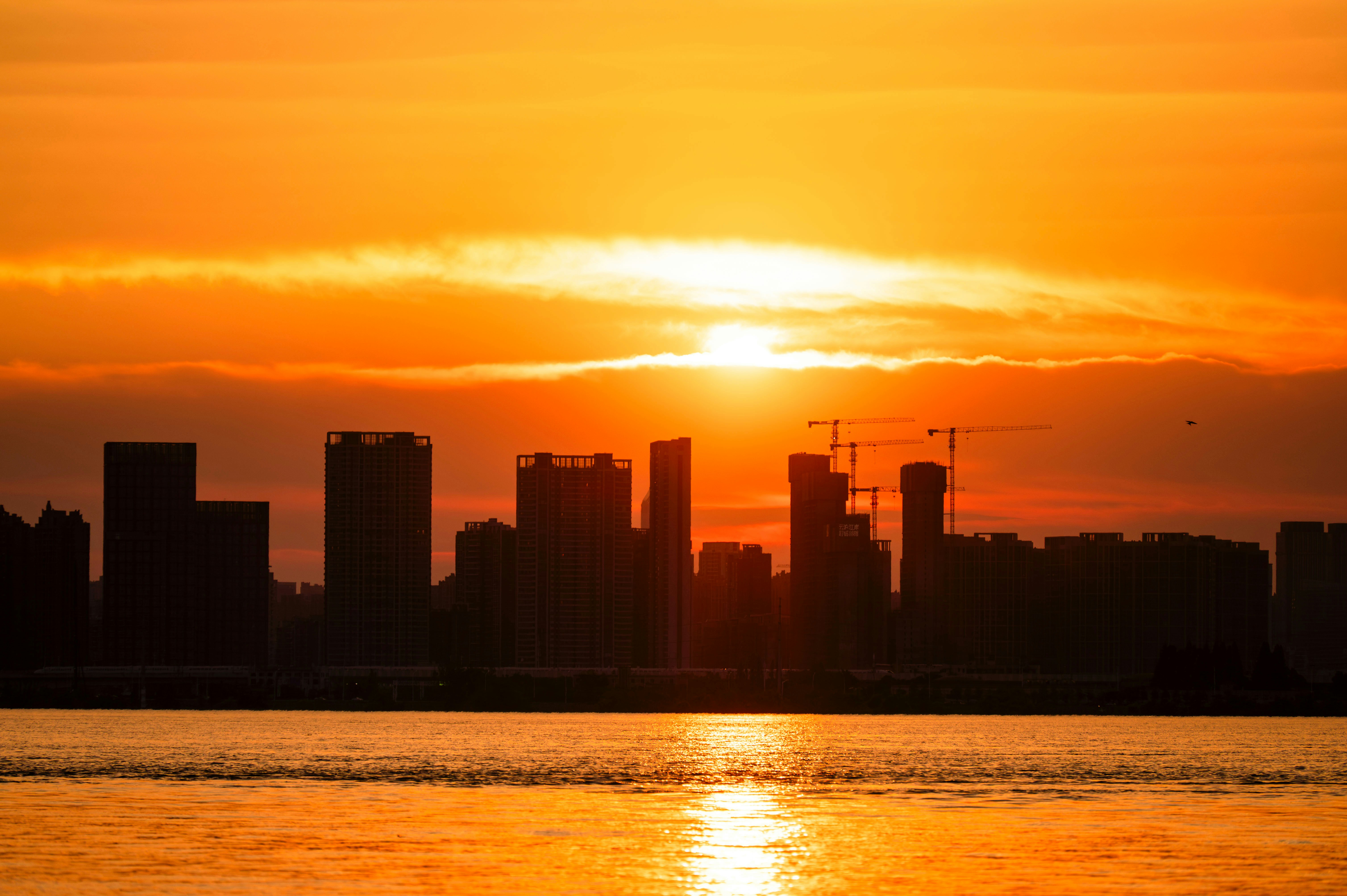 Photo by excellentcx