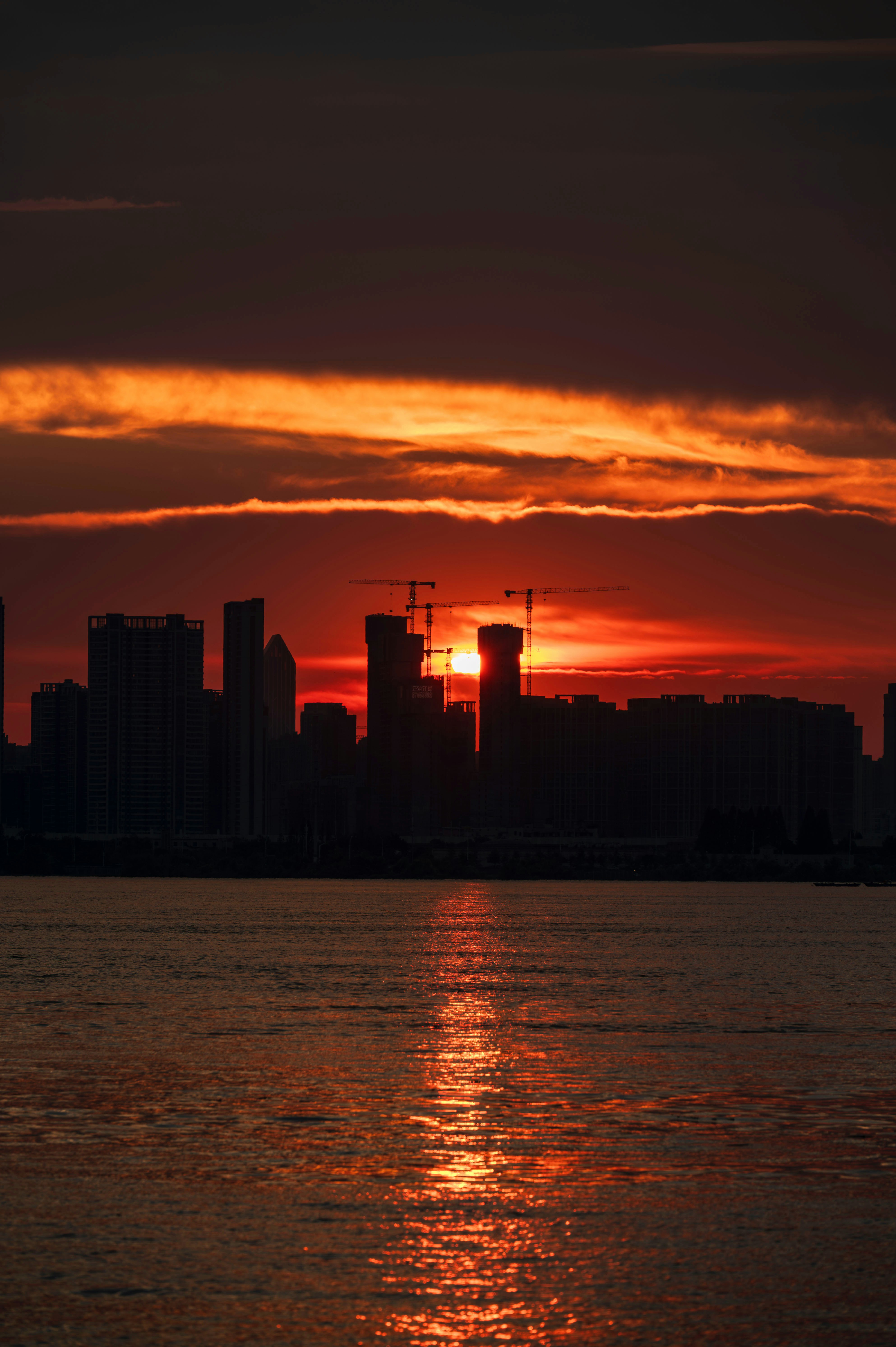 Photo by excellentcx