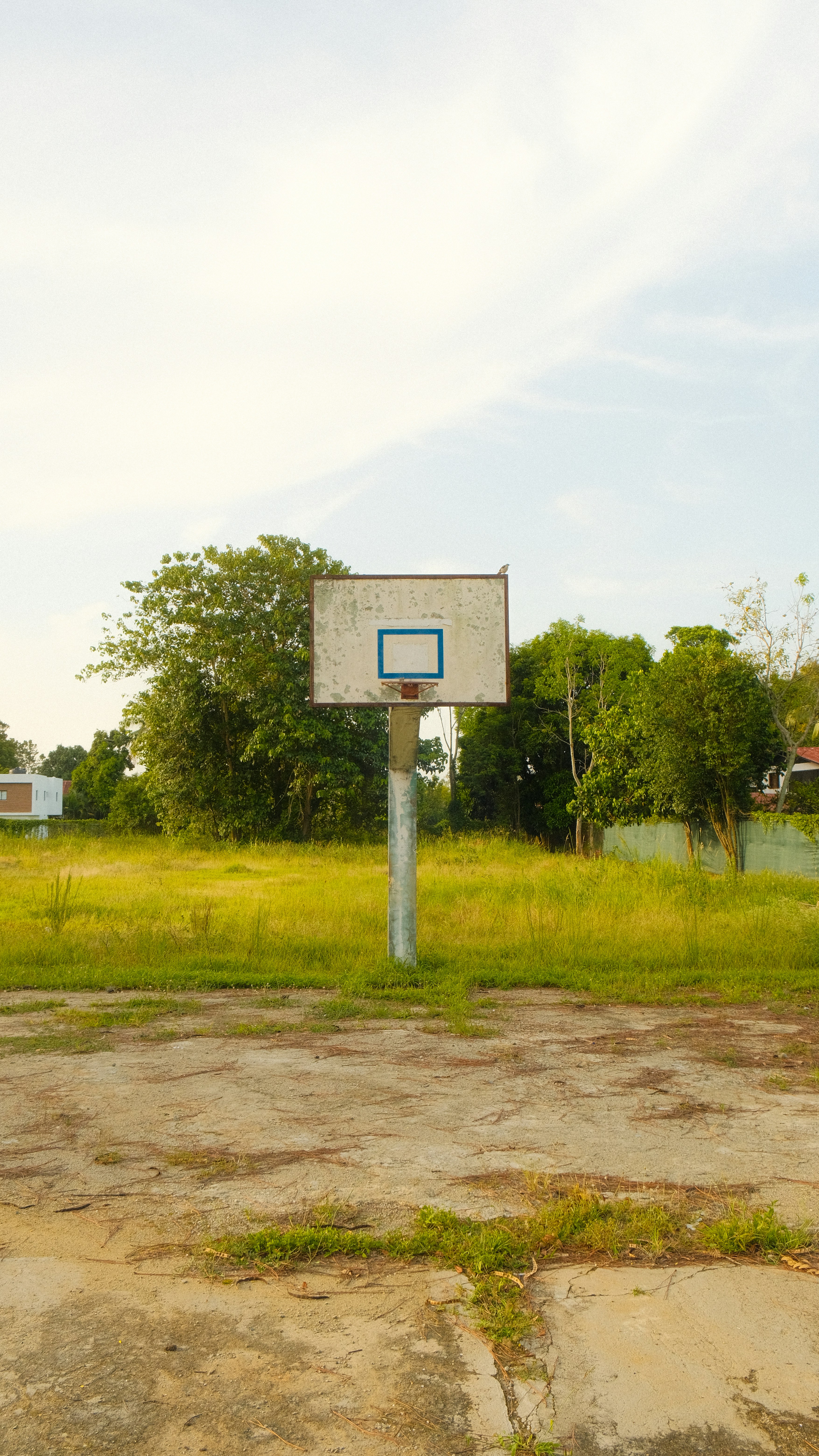 An empty basketball court in a vacant lot