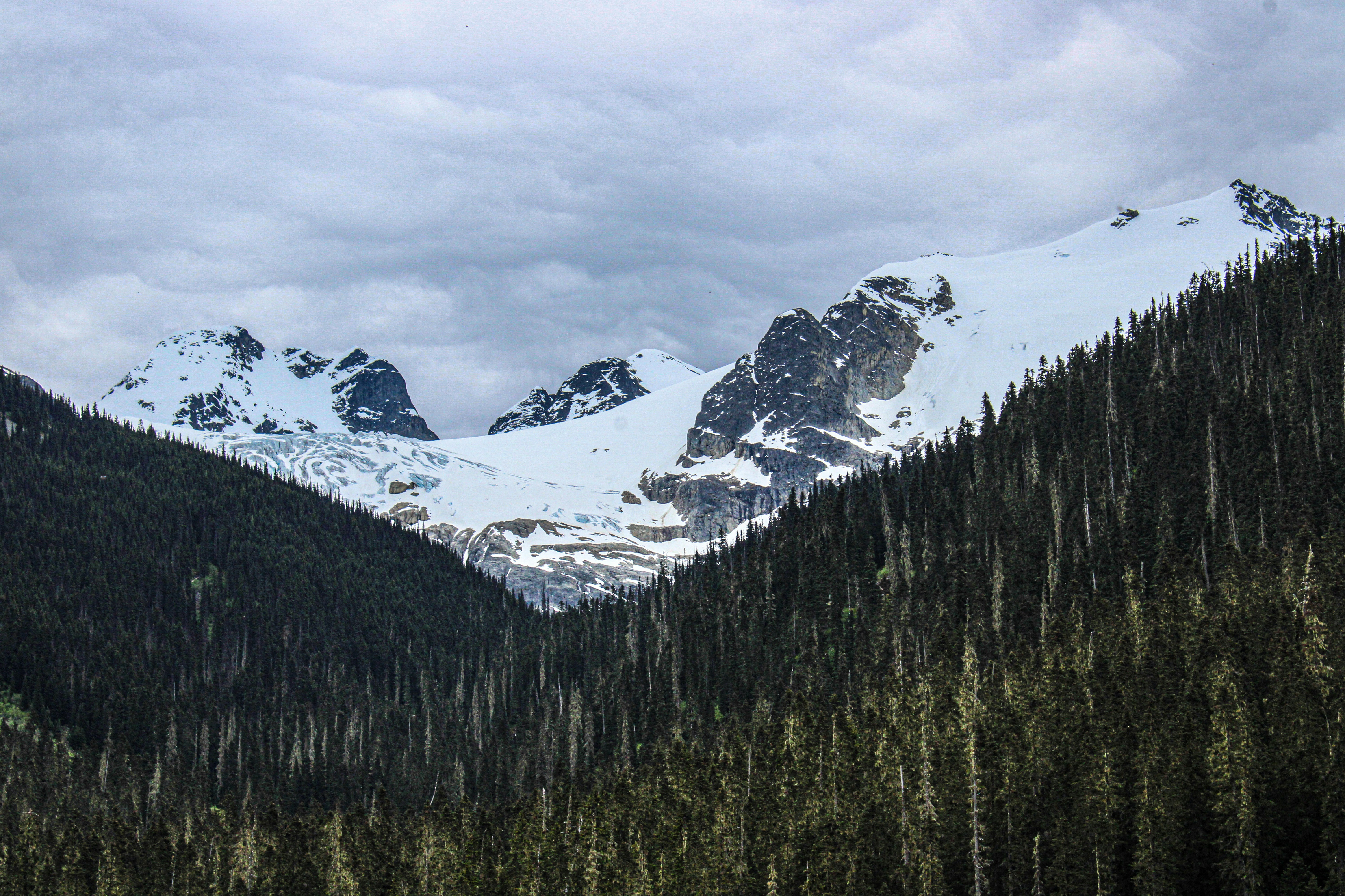 Photo by prphotography262