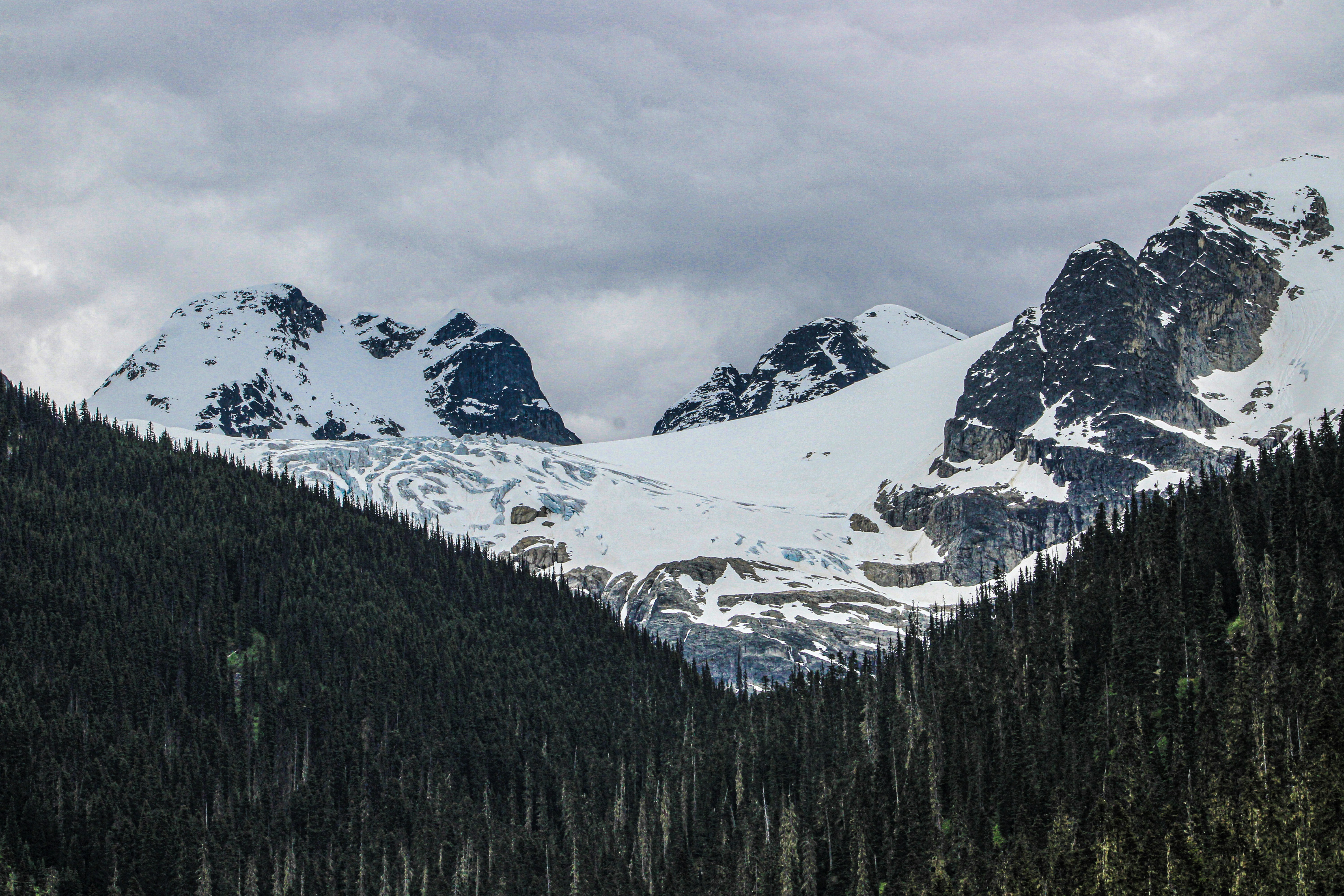 Photo by prphotography262