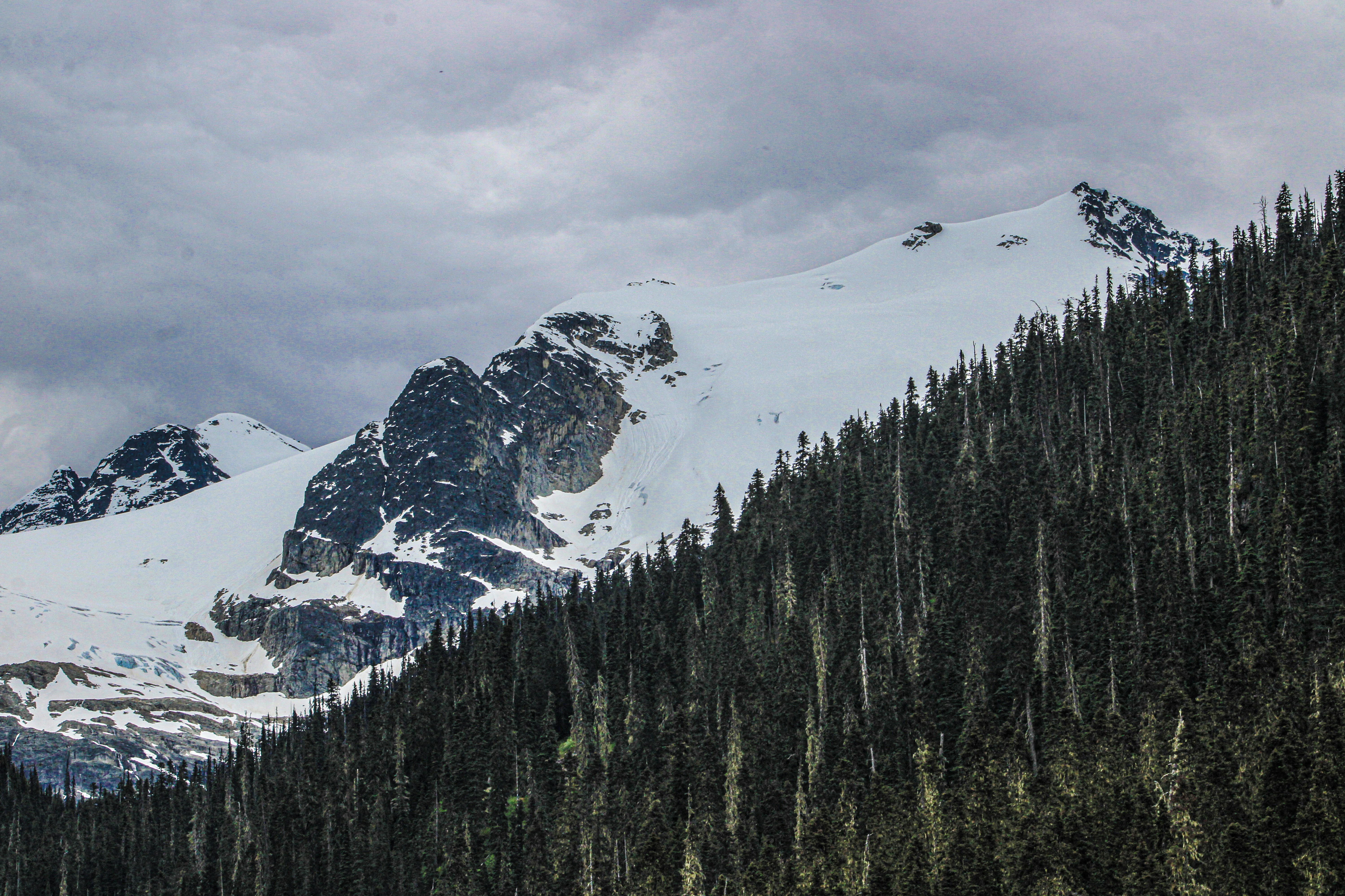 Photo by prphotography262