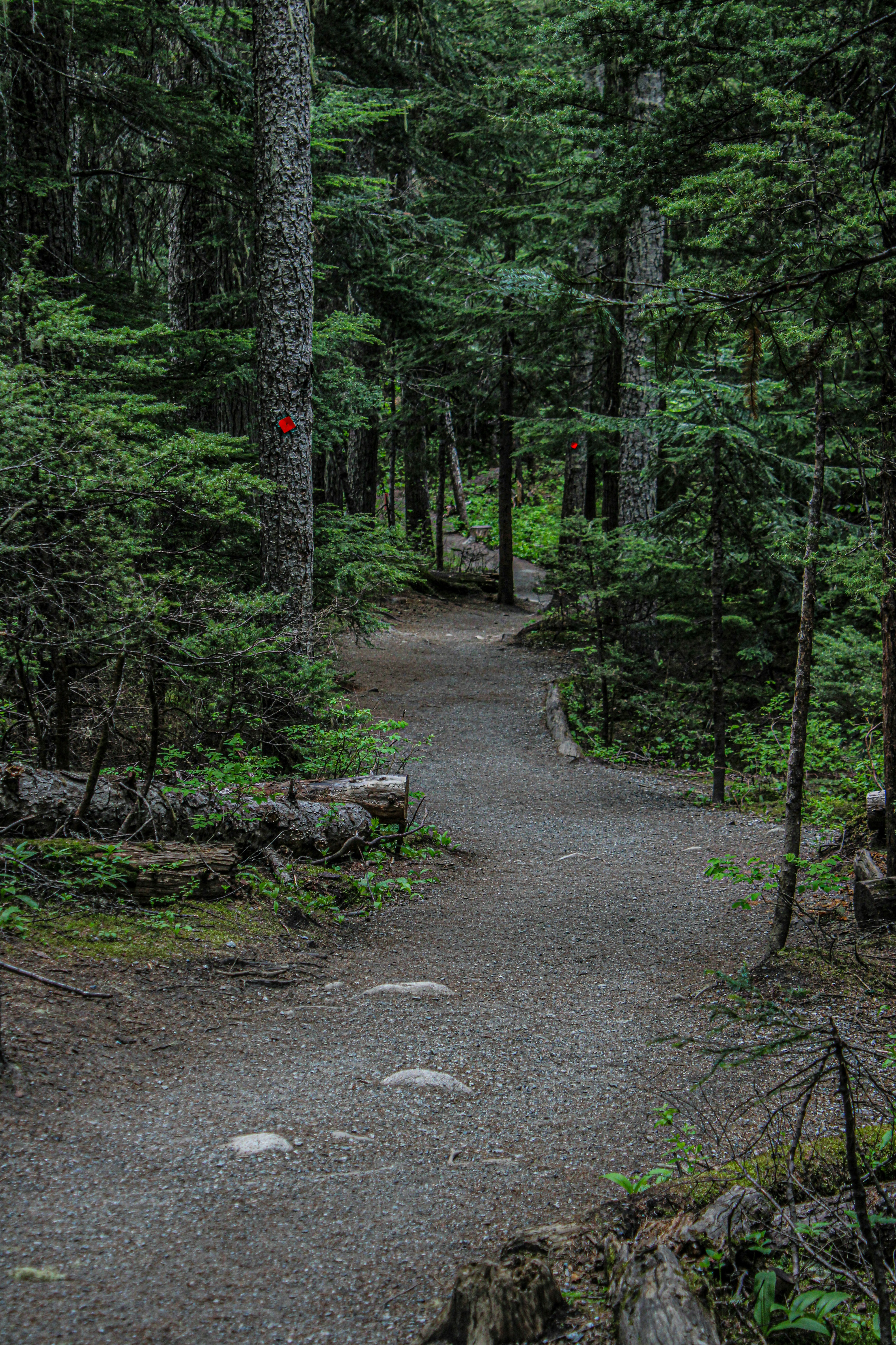 Photo by prphotography262