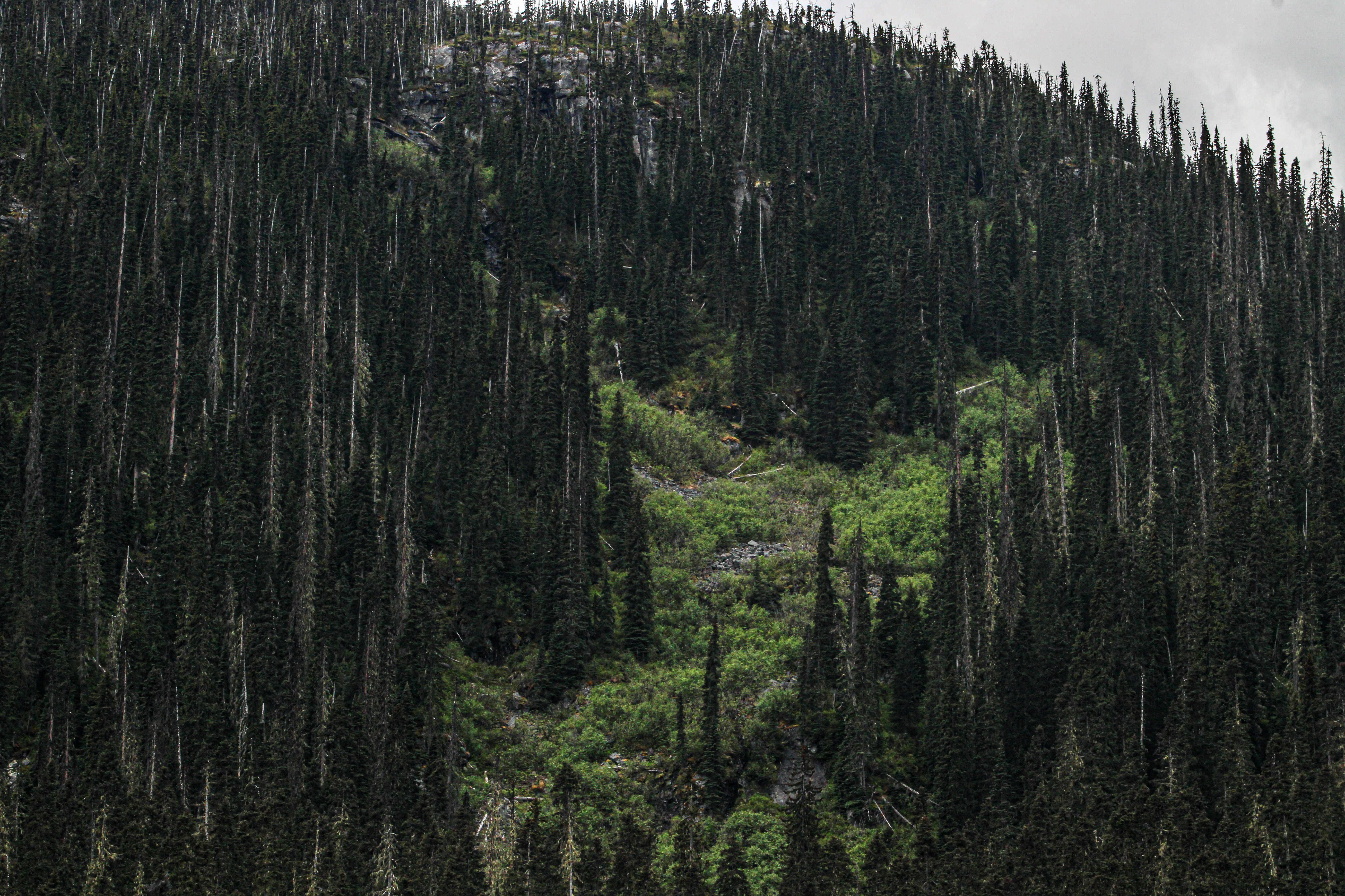 Photo by prphotography262