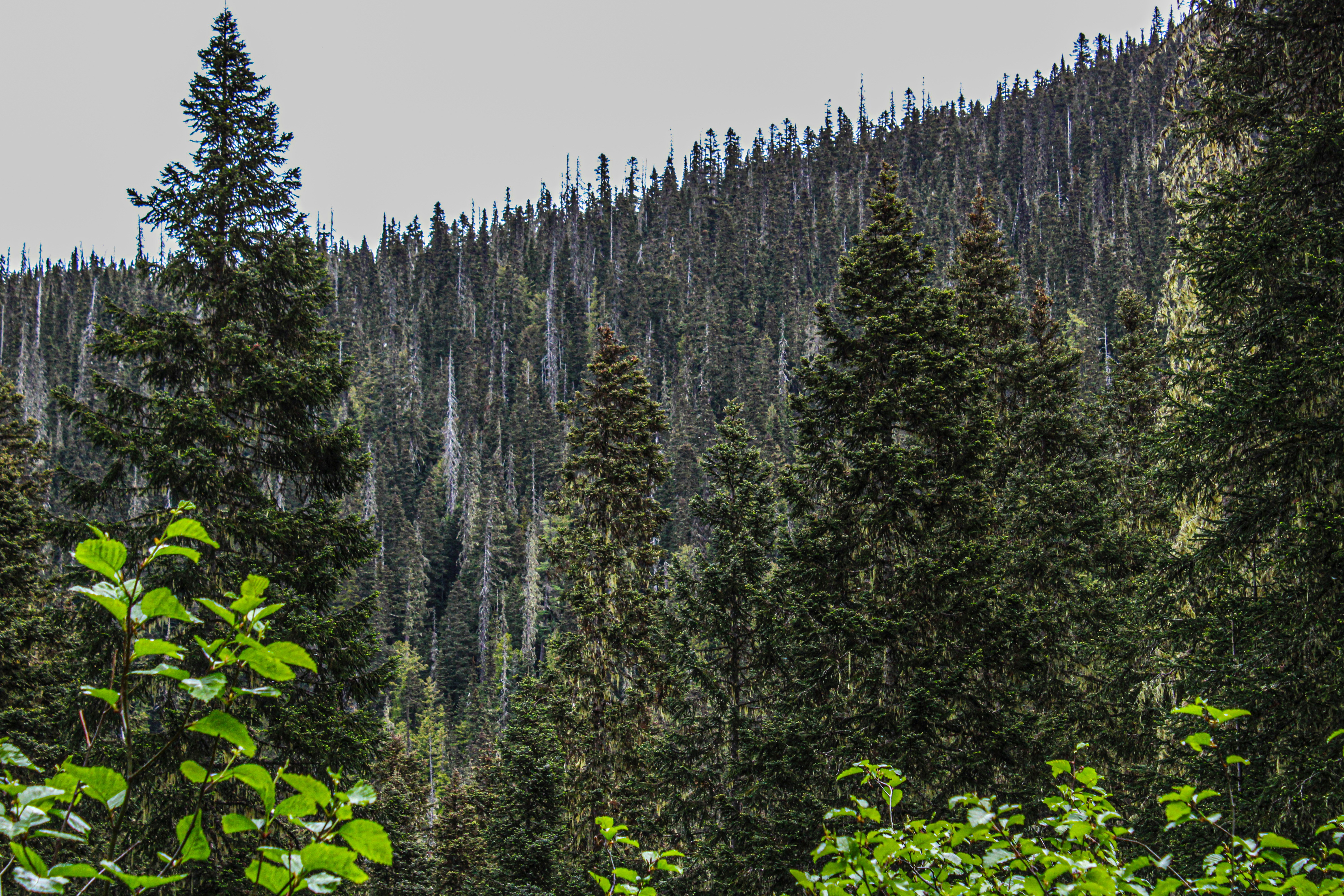 Photo by prphotography262