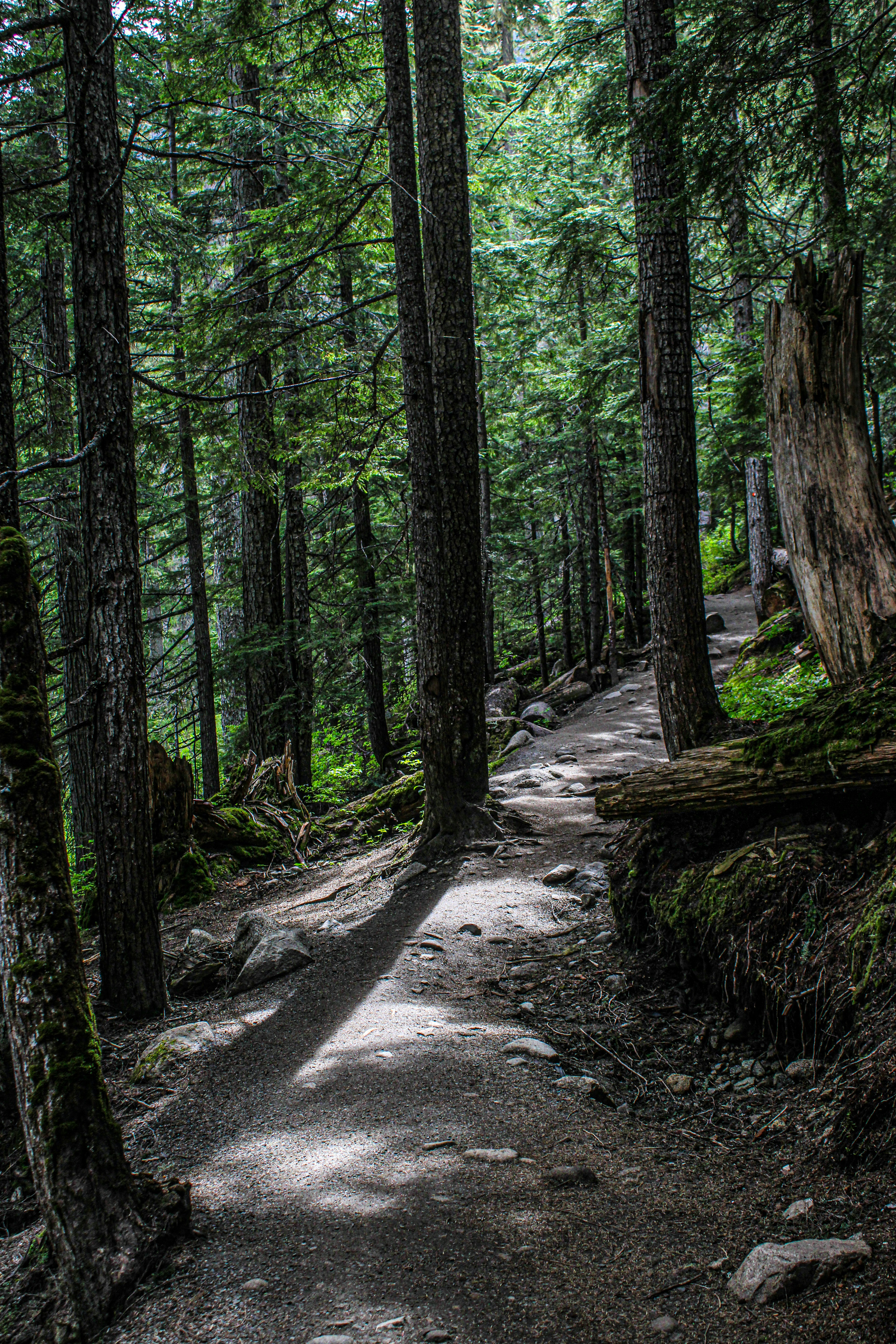 Photo by prphotography262