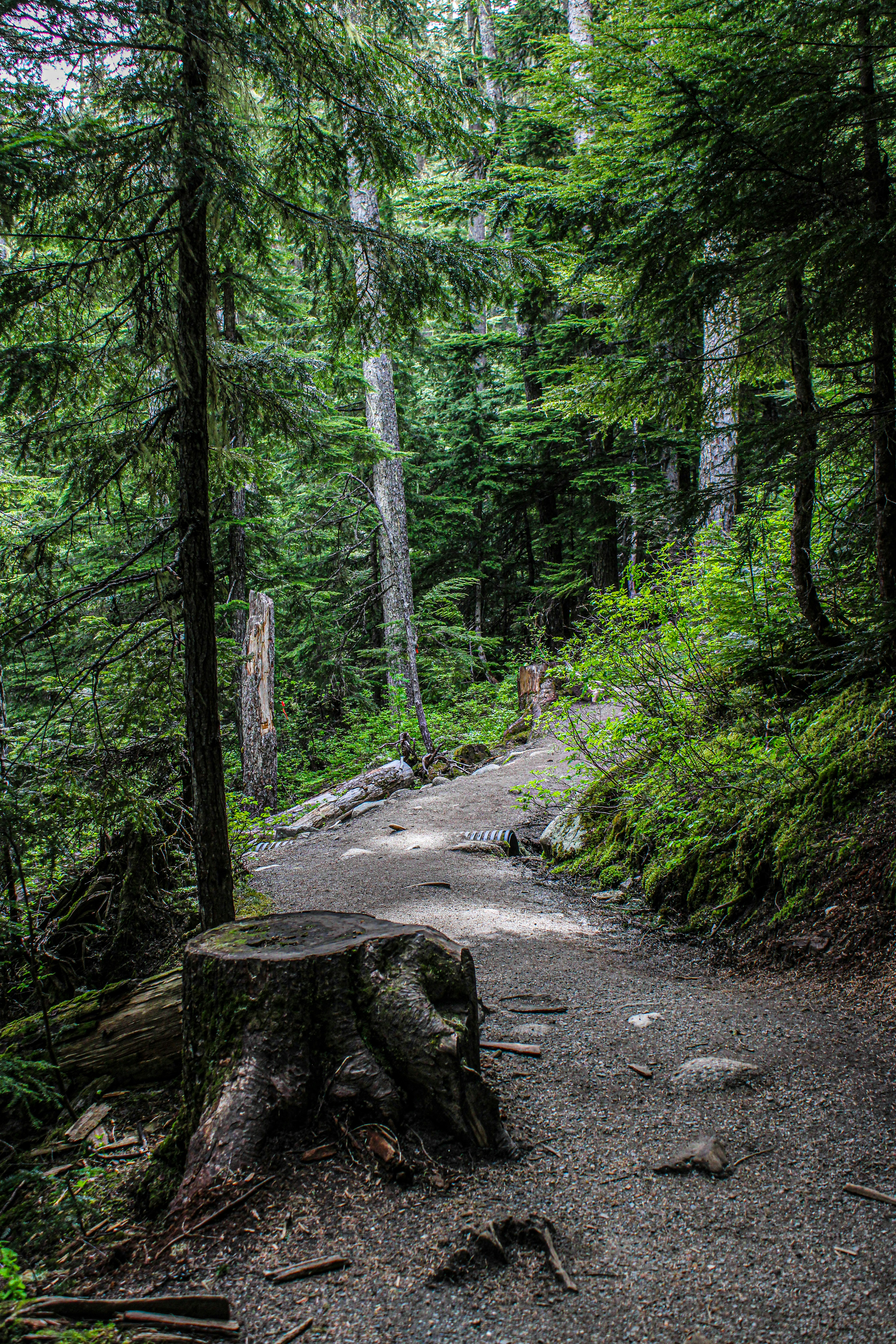 Photo by prphotography262