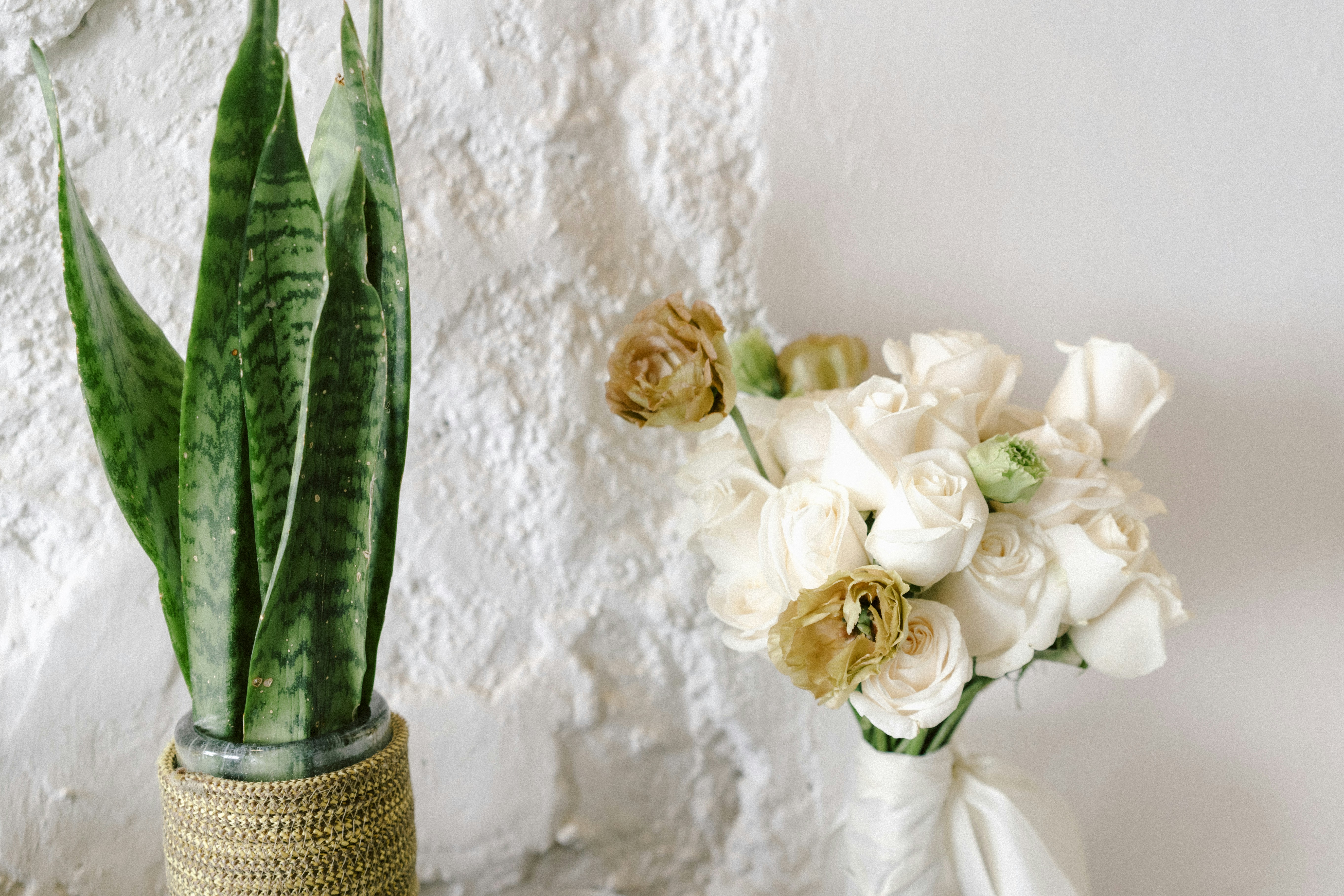 Photo by brunocervera