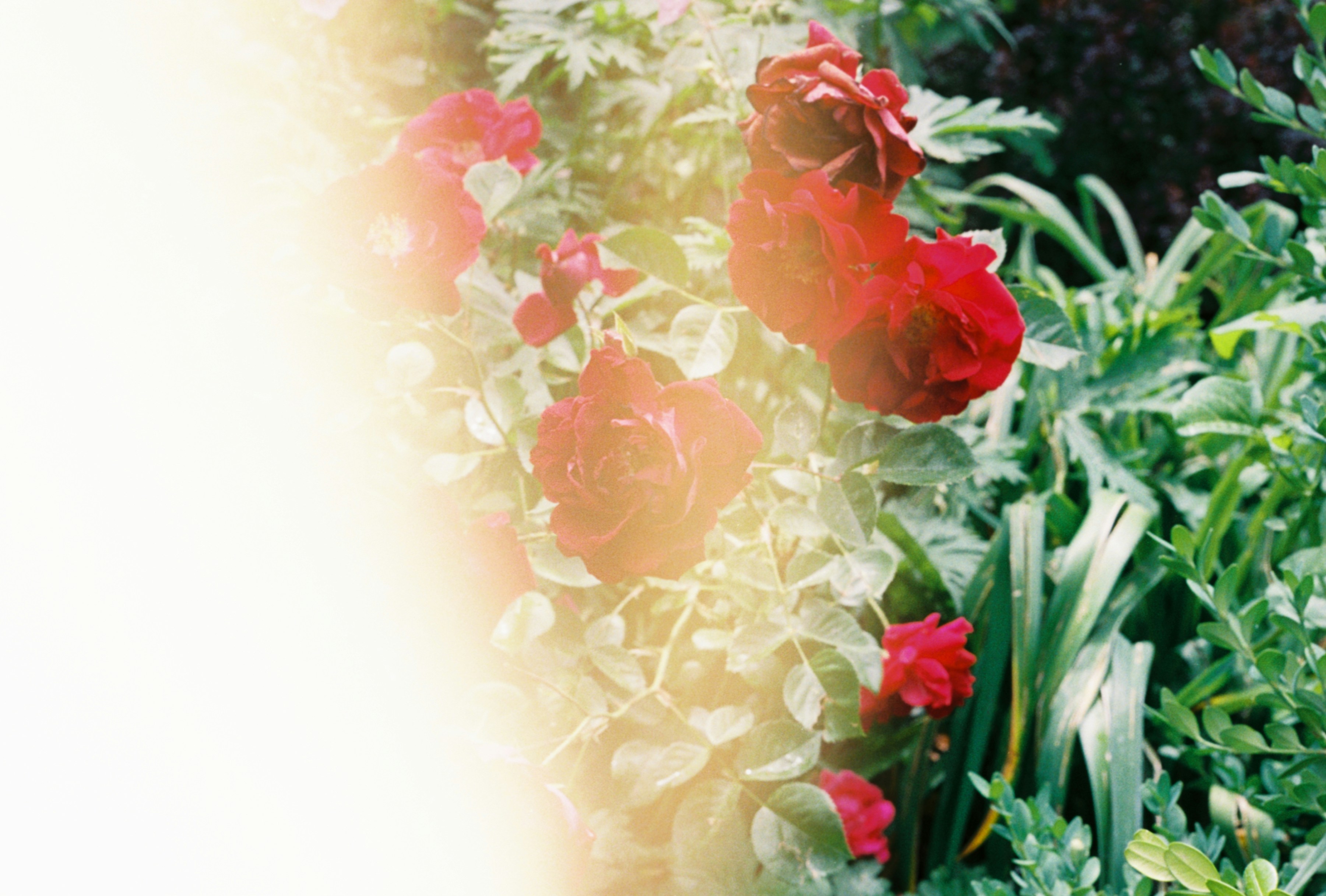 Unleash Your Radiance: The Power of Tailored Beauty Treatments - Confident Skin by Julie, West Ryde Beauty Clinic