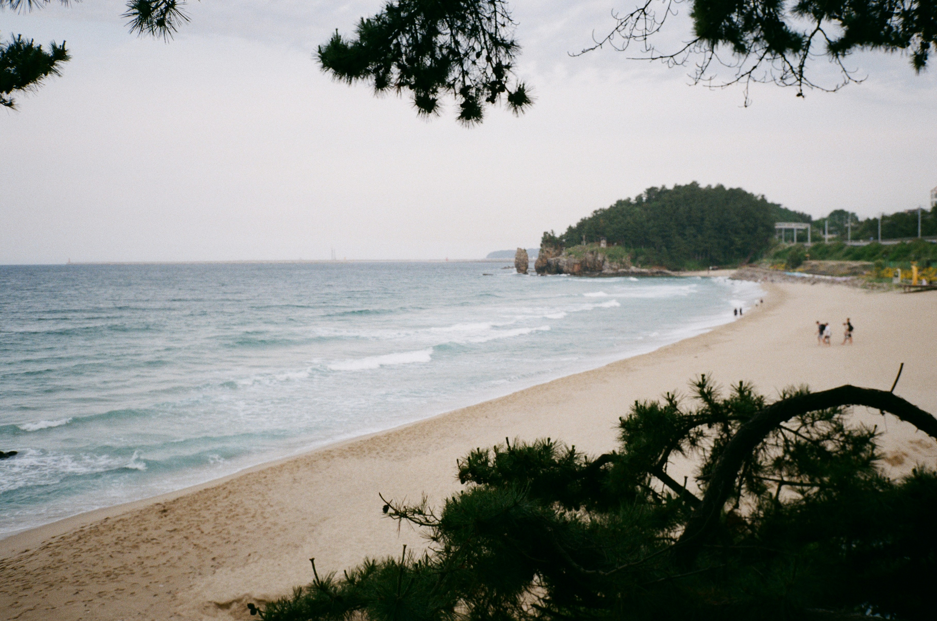 A beach with a few people walking on it