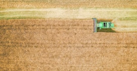 A tractor is driving through a large field