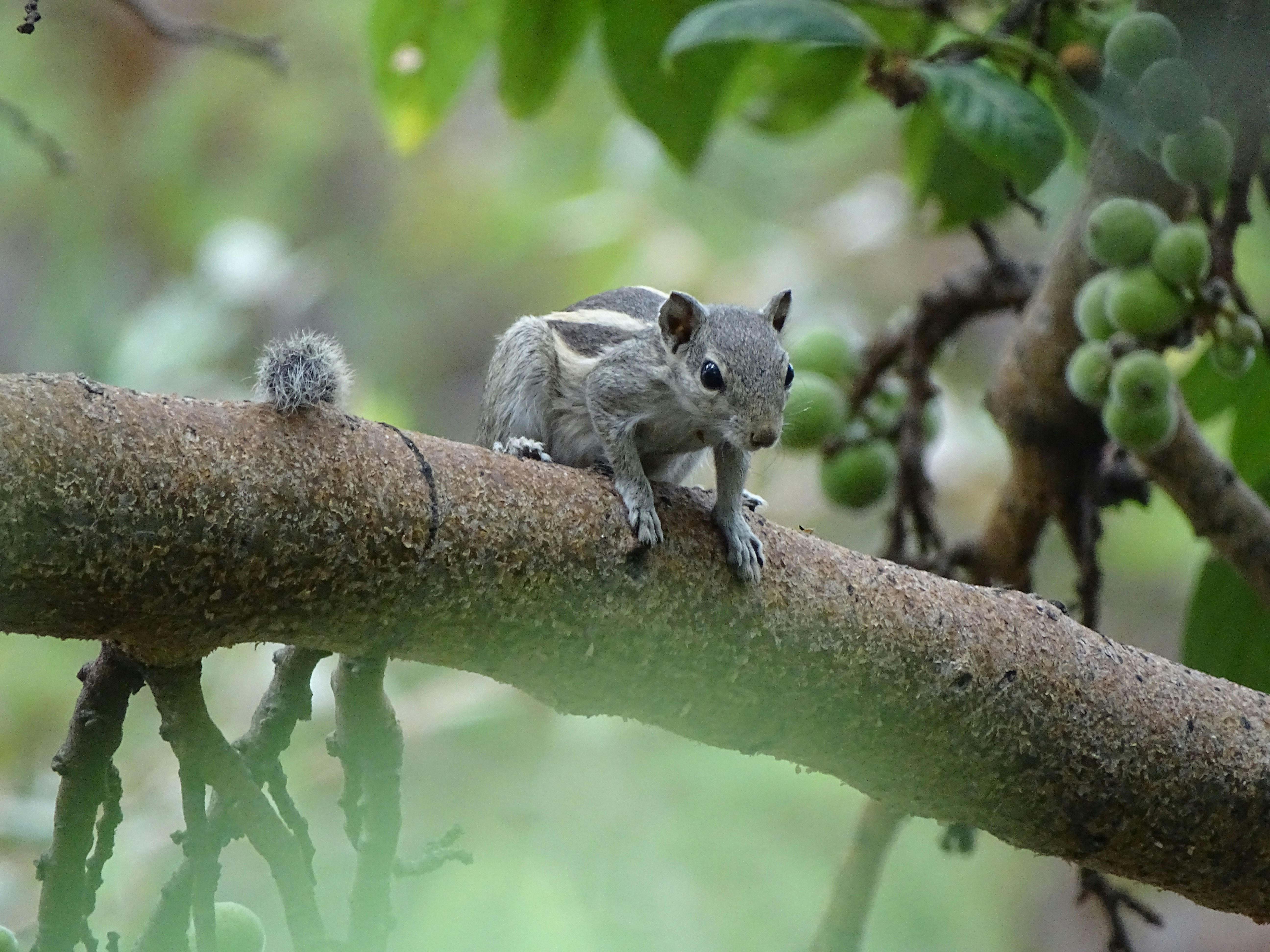 Photo by khushi_gandhi2605