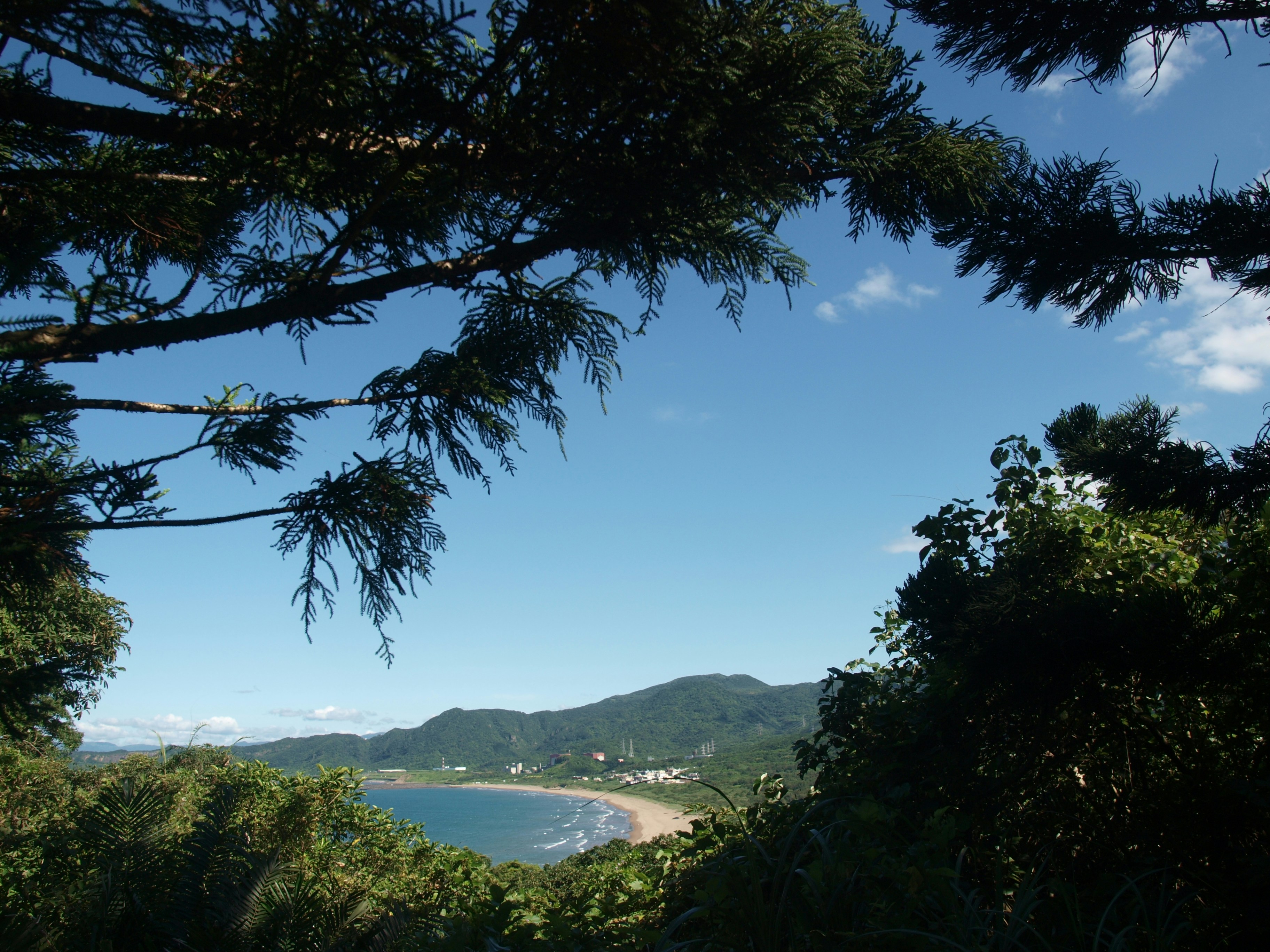 Image by MChe Lee via Unsplash