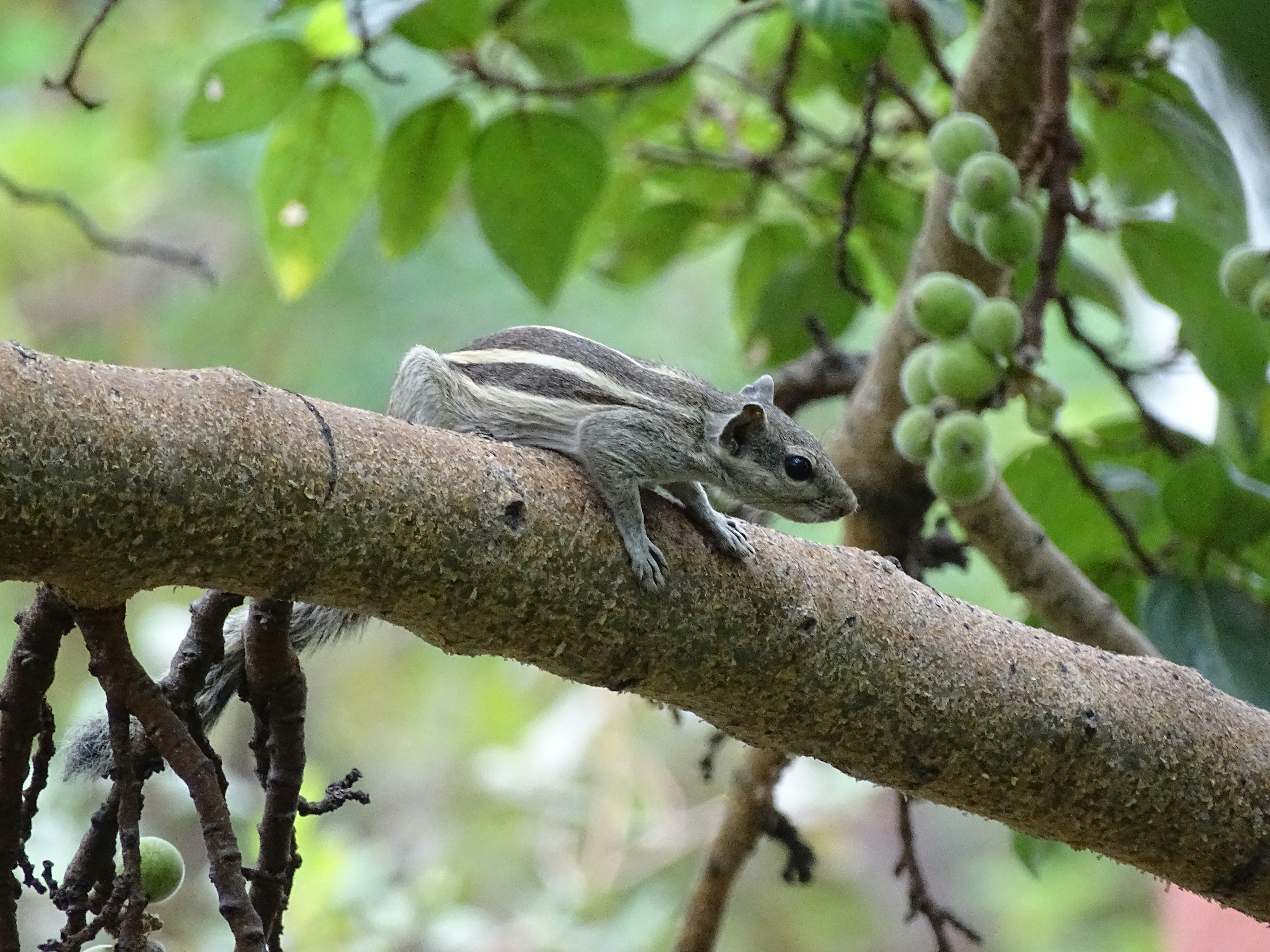 Photo by khushi_gandhi2605