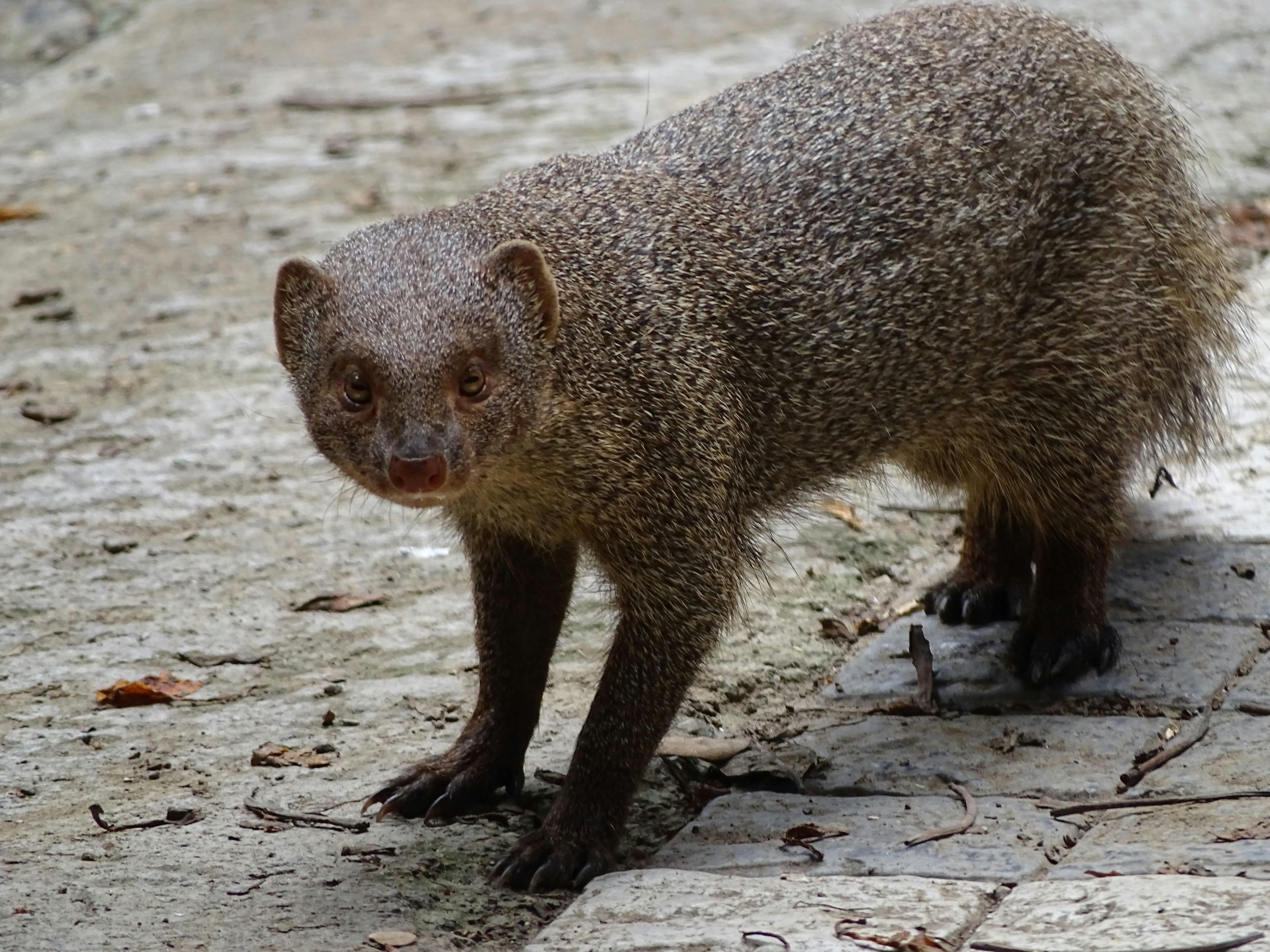 Photo by khushi_gandhi2605