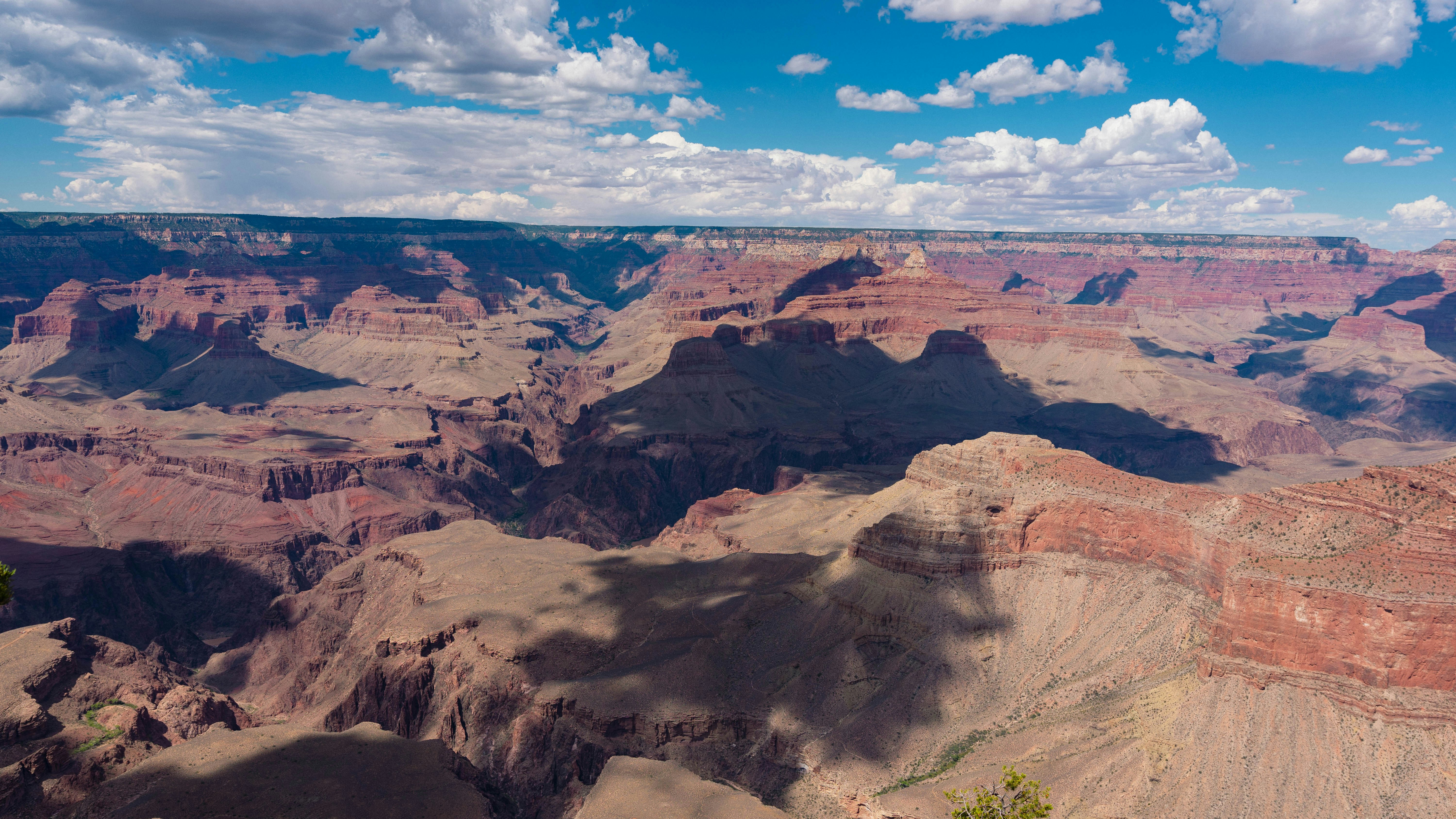 Photo by elmercanasjr