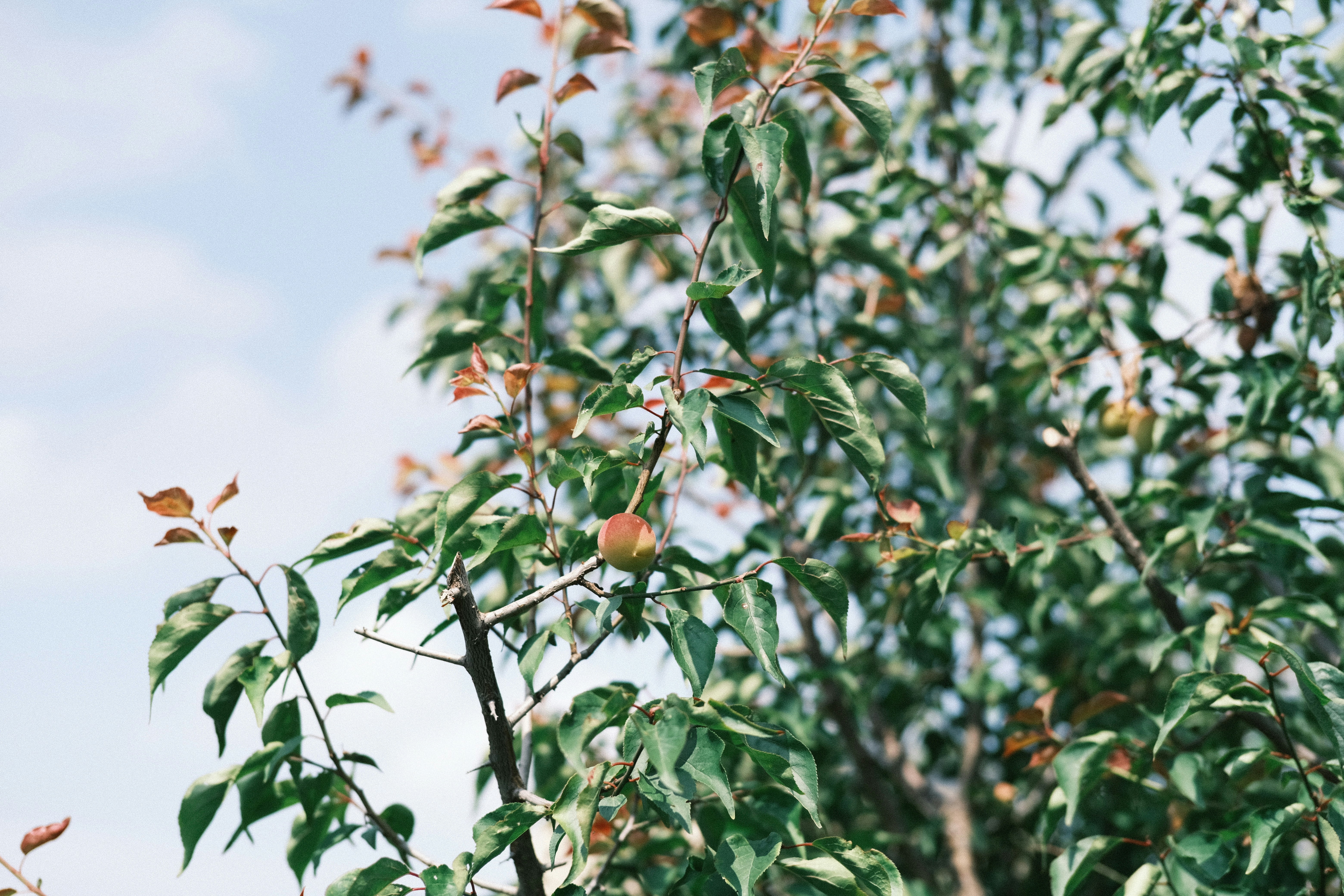 Photo by seiya_maeda