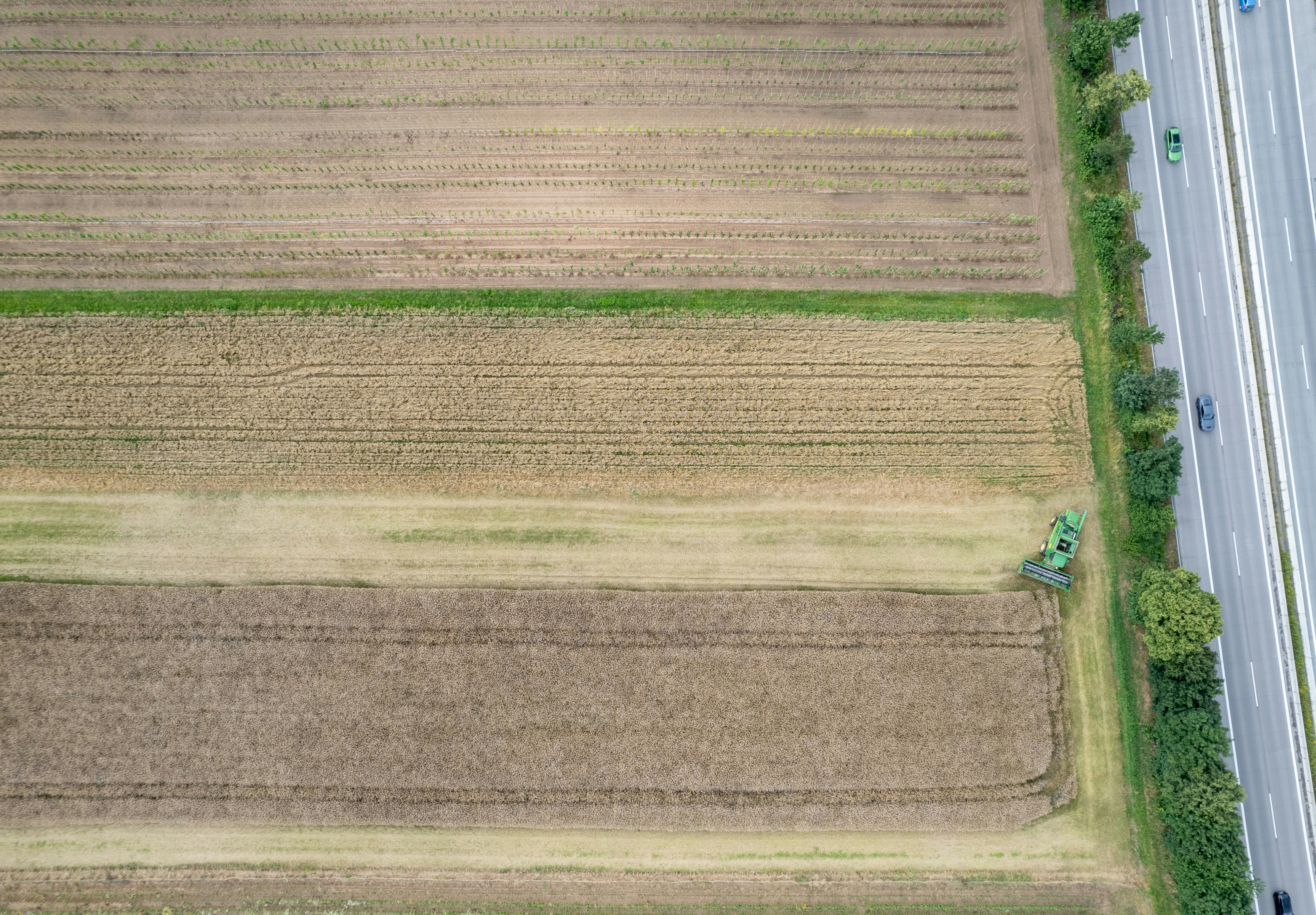 An aerial view of a road and a field