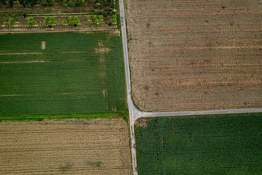 A bird's eye view of a farm land