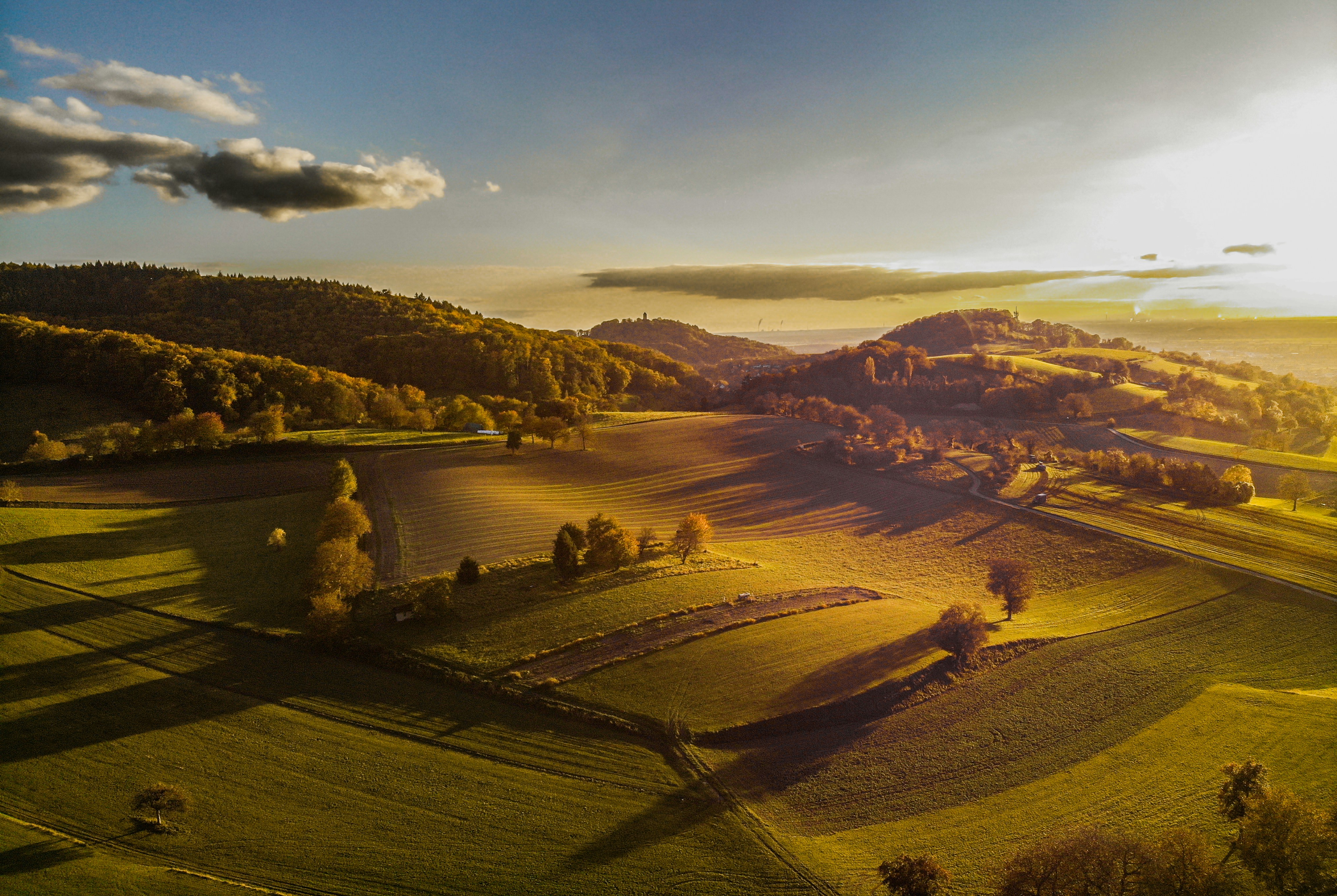 An aerial view of a green field with trees