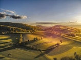 An aerial view of a green field with trees