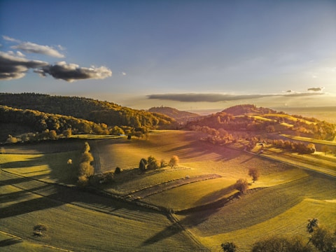 An aerial view of a green field with trees