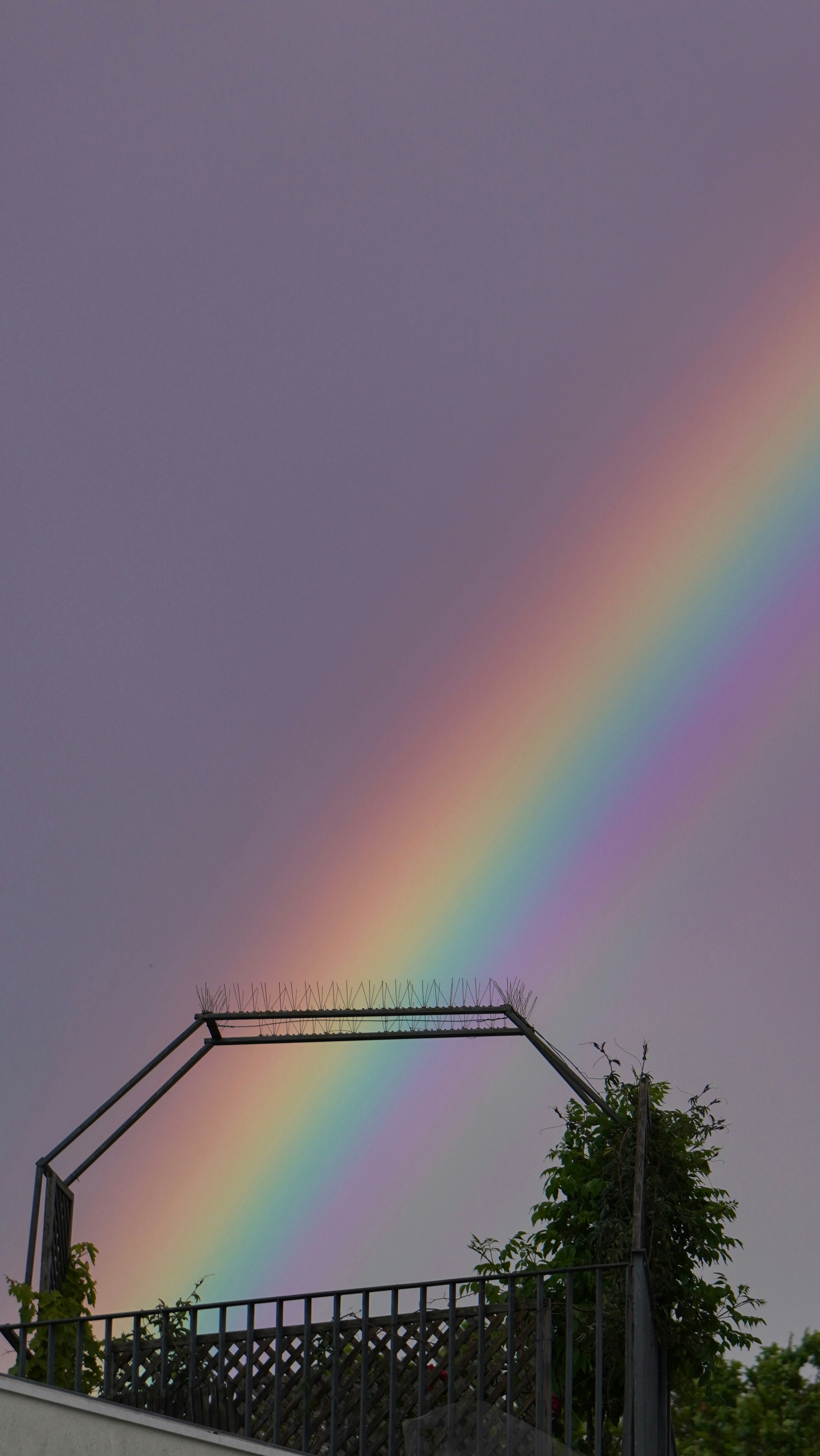 Photo by lucadamantium