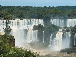 A large waterfall in the middle of a forest