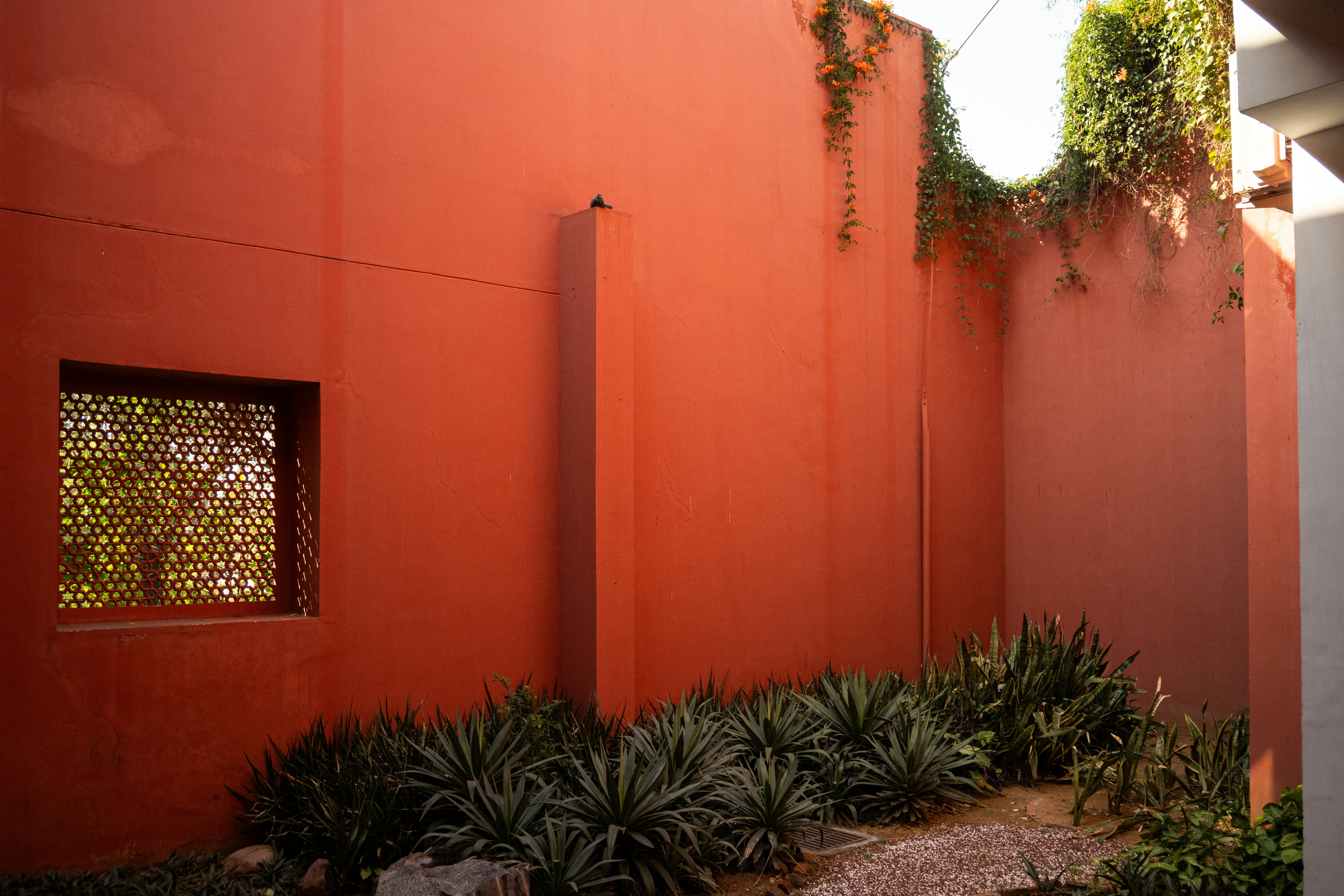 A red wall with plants growing on it