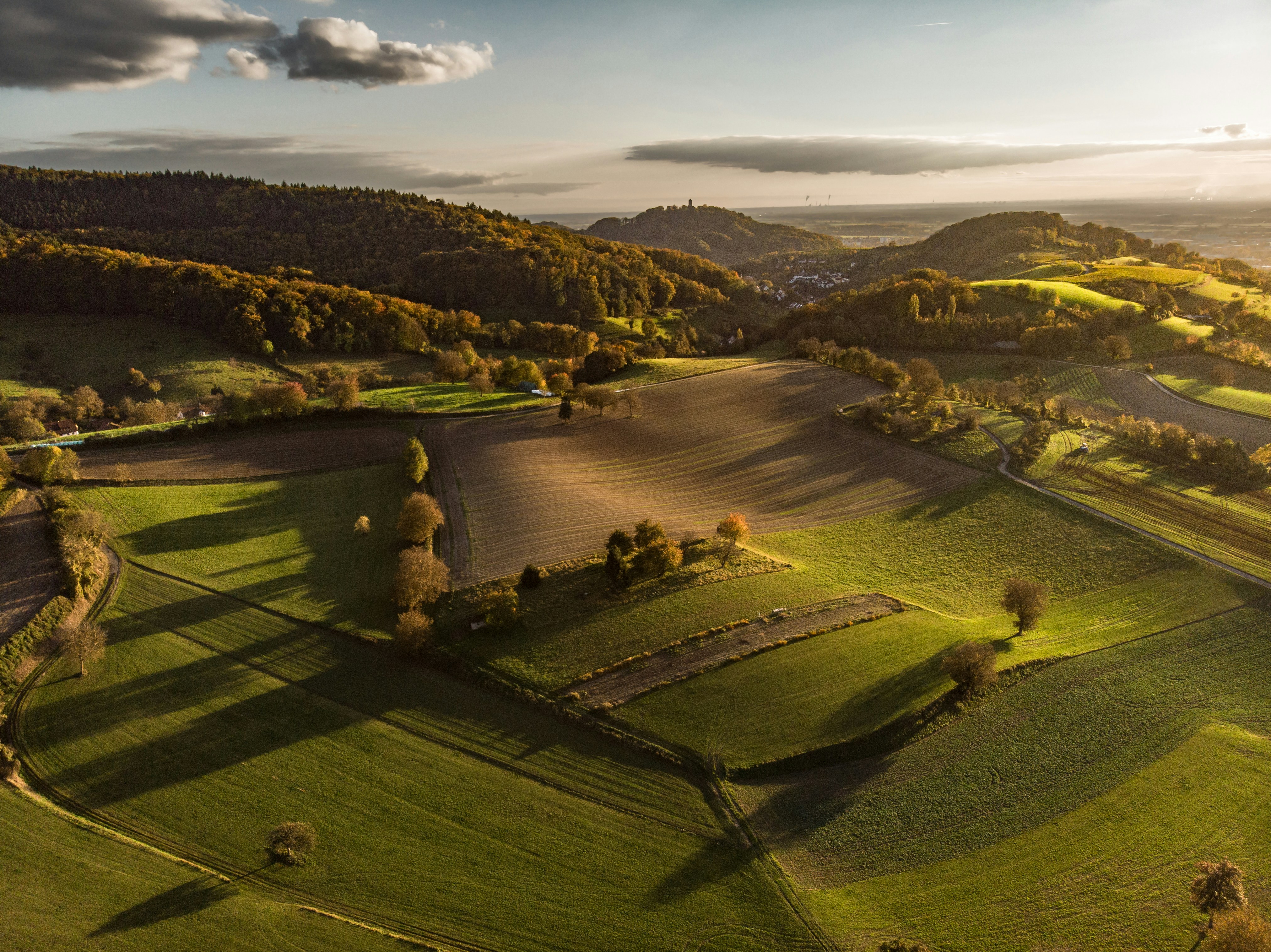 An aerial view of a green field with trees
