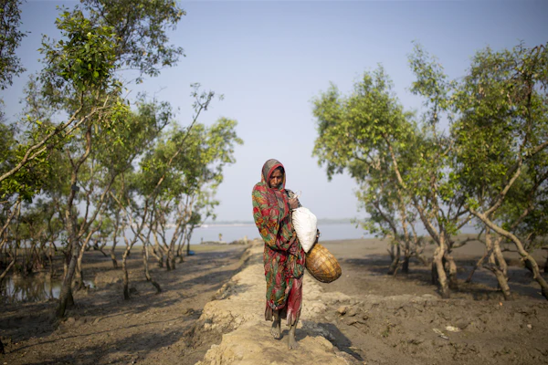Village homestay in the Sundarbans