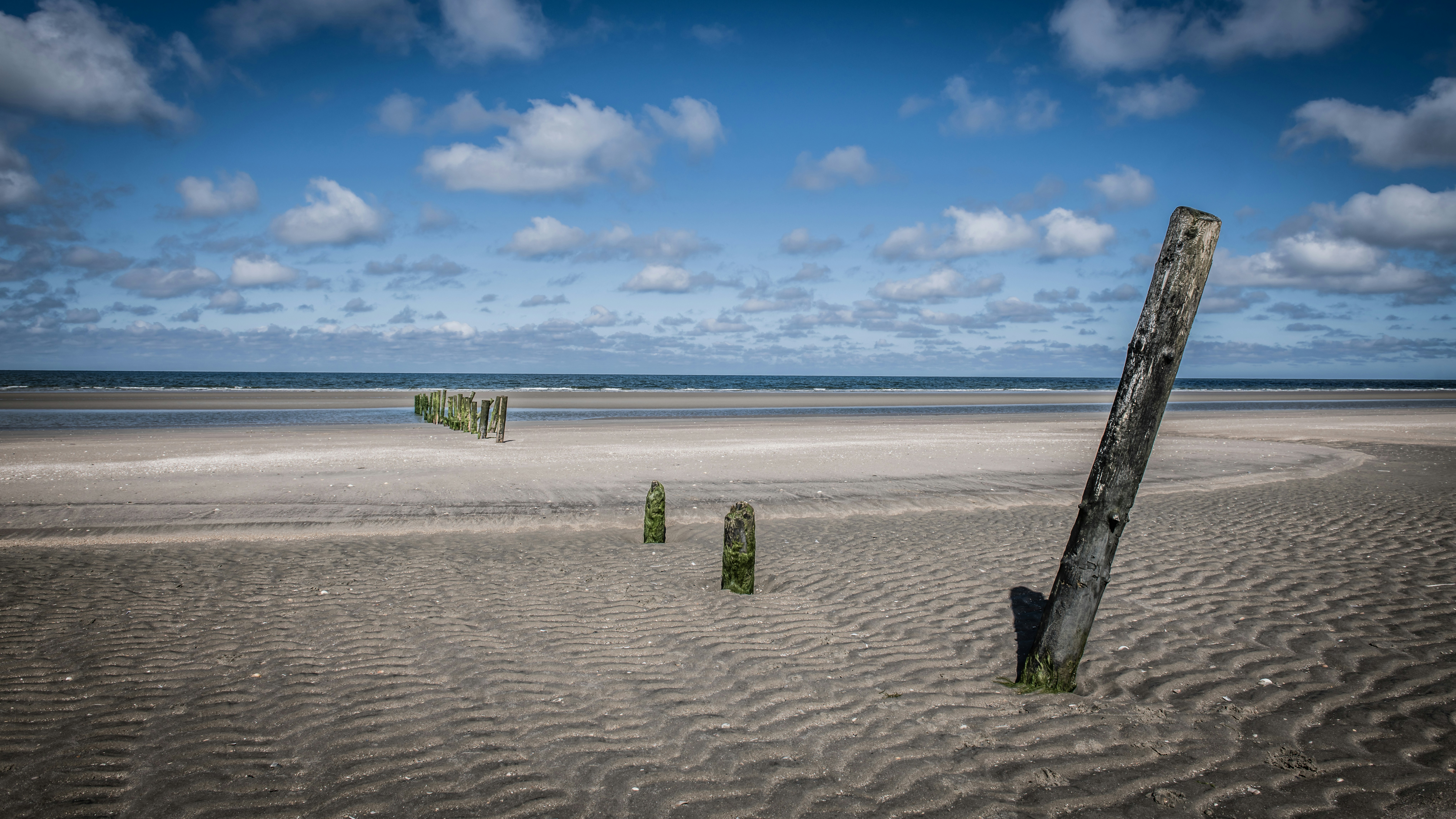 Photo by hamburgmeinefreundin