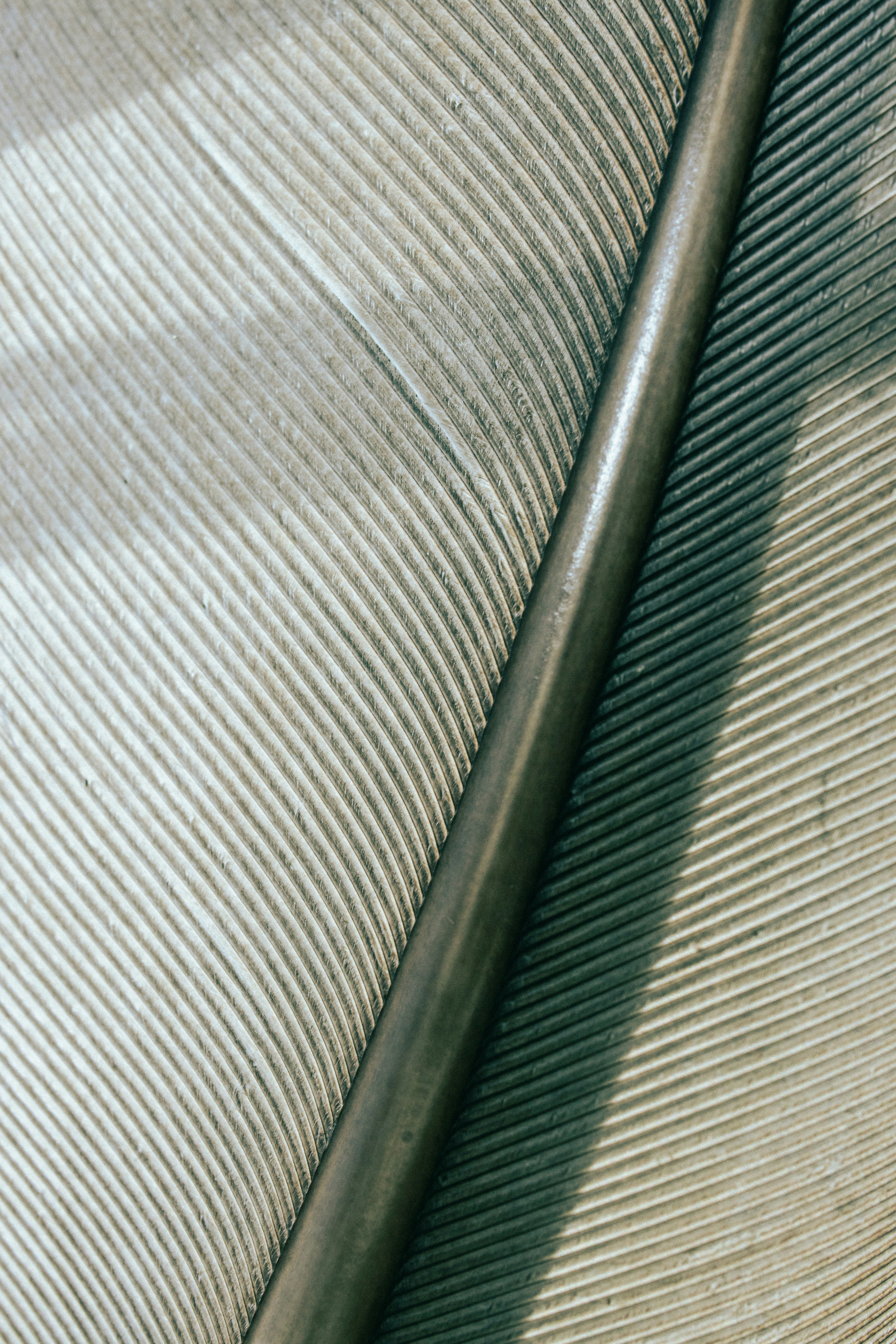 Photo by grievek1610begur