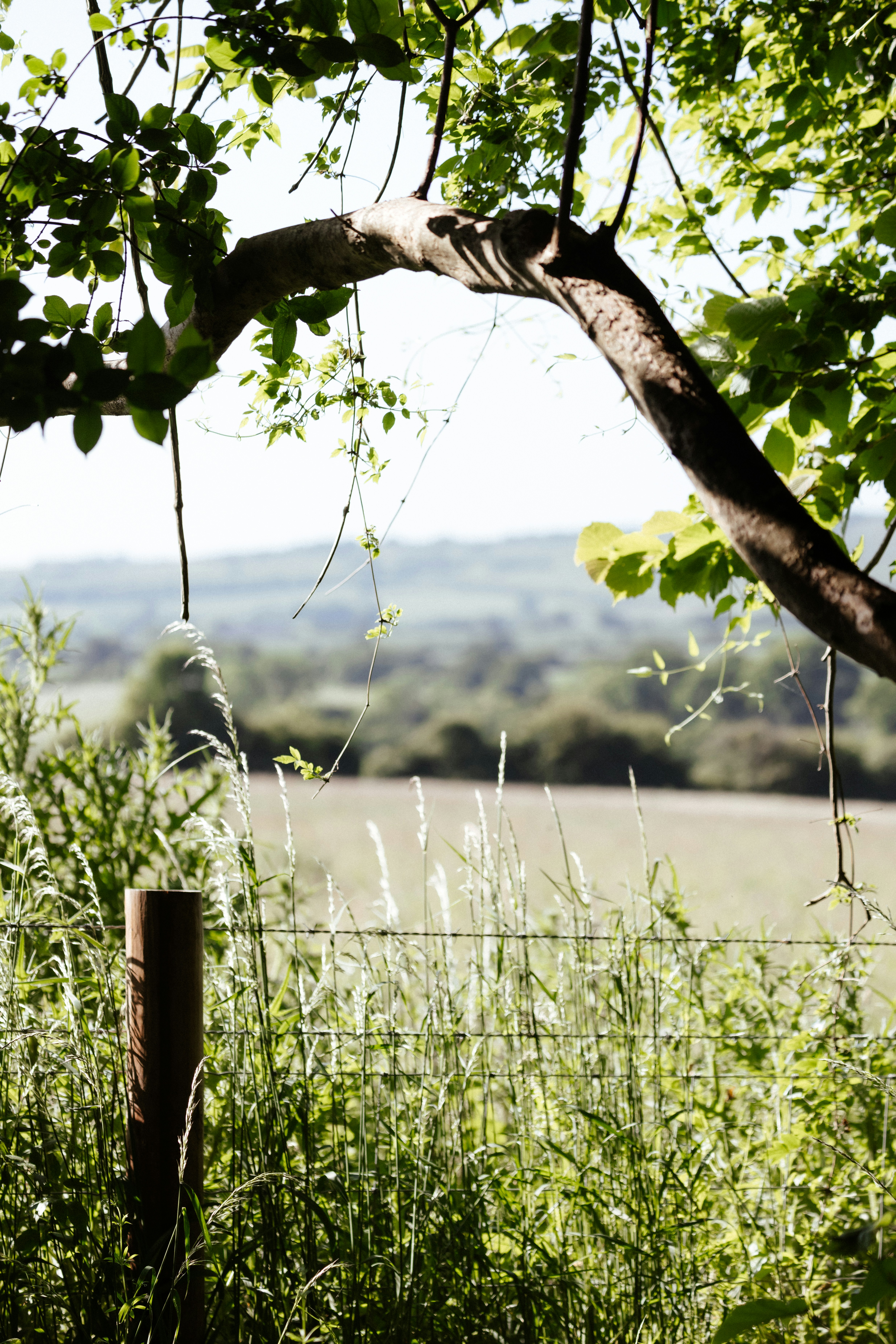 Photo by anniespratt