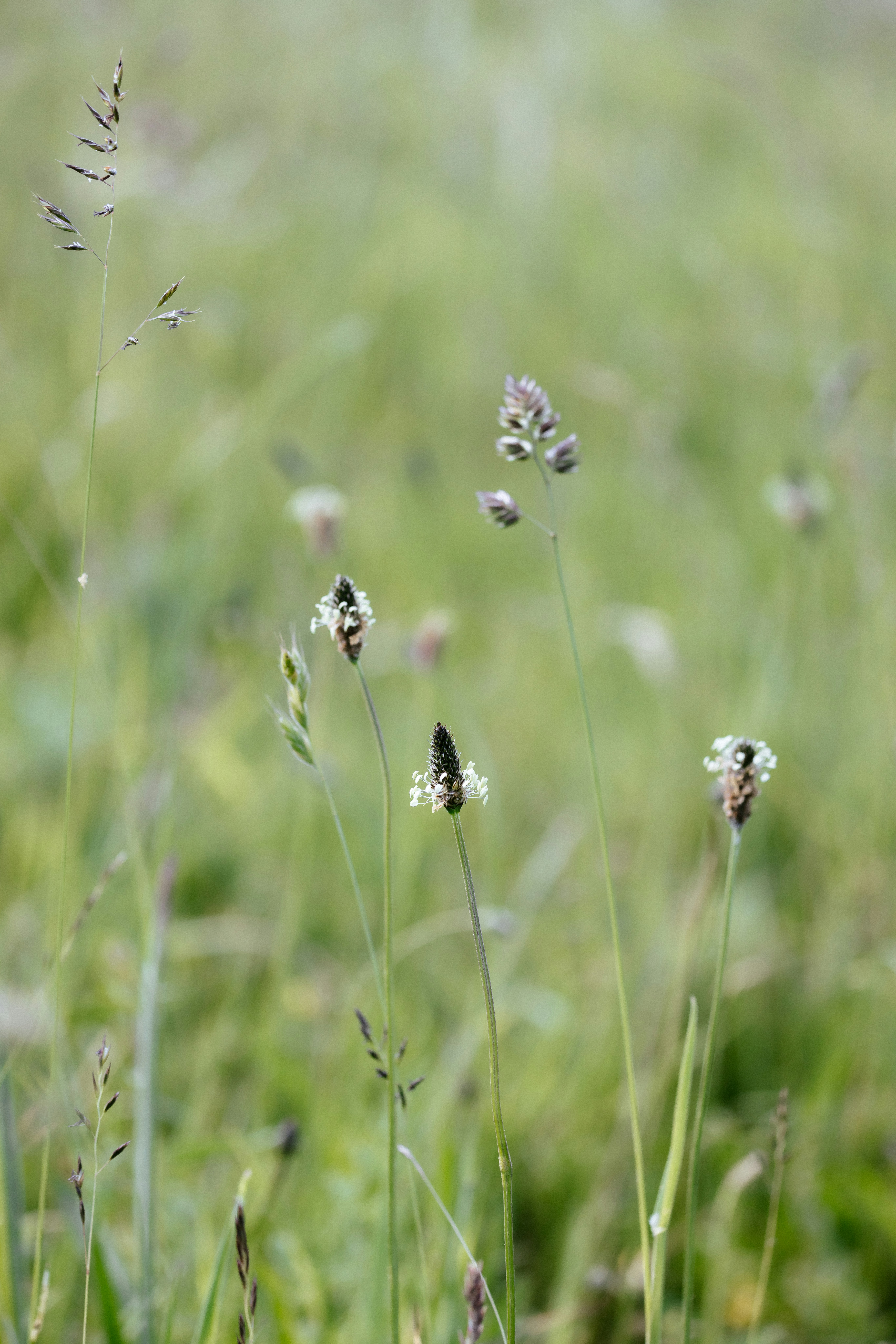 Photo by anniespratt