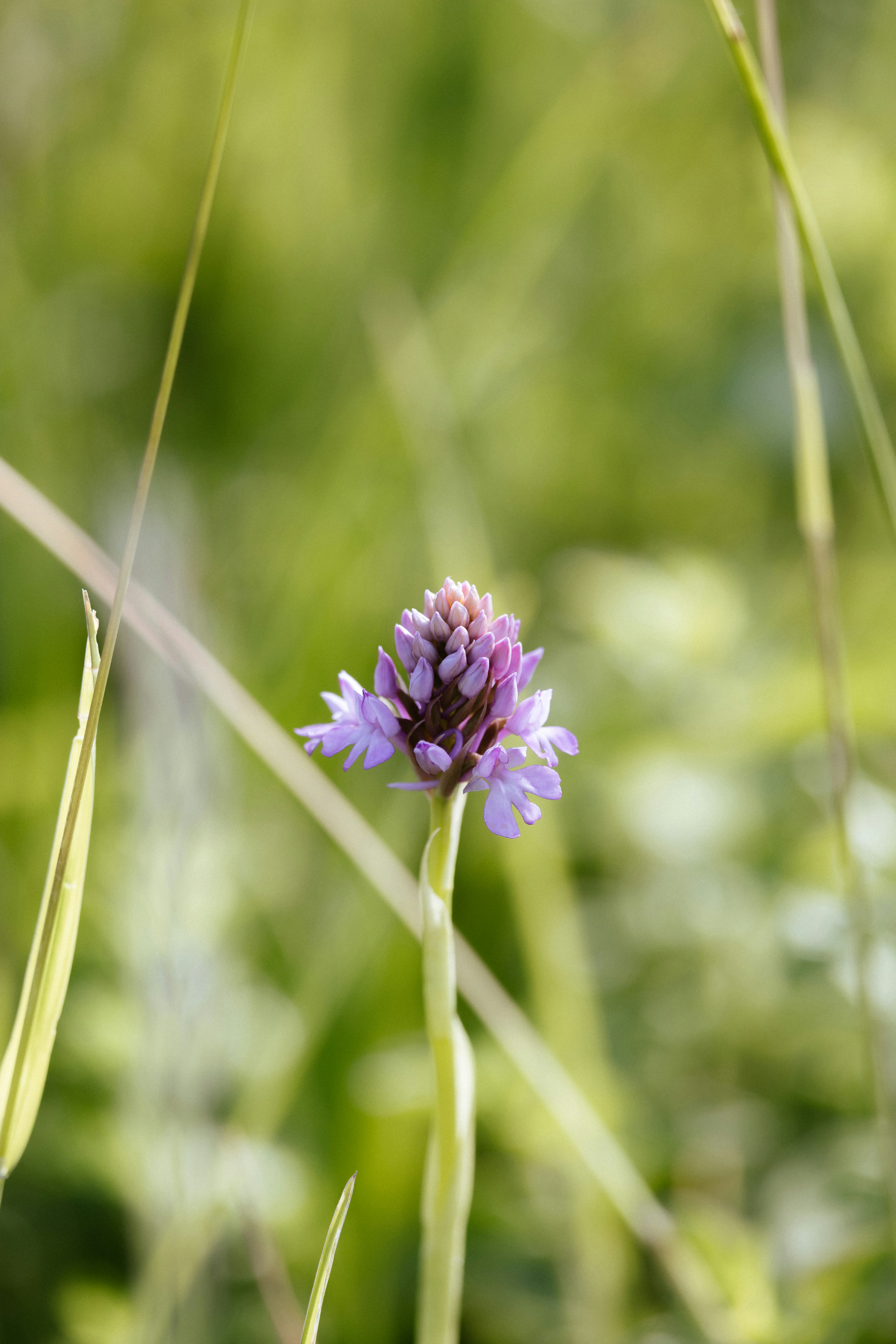 Photo by anniespratt